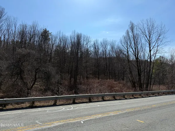 a view of a yard with large tree