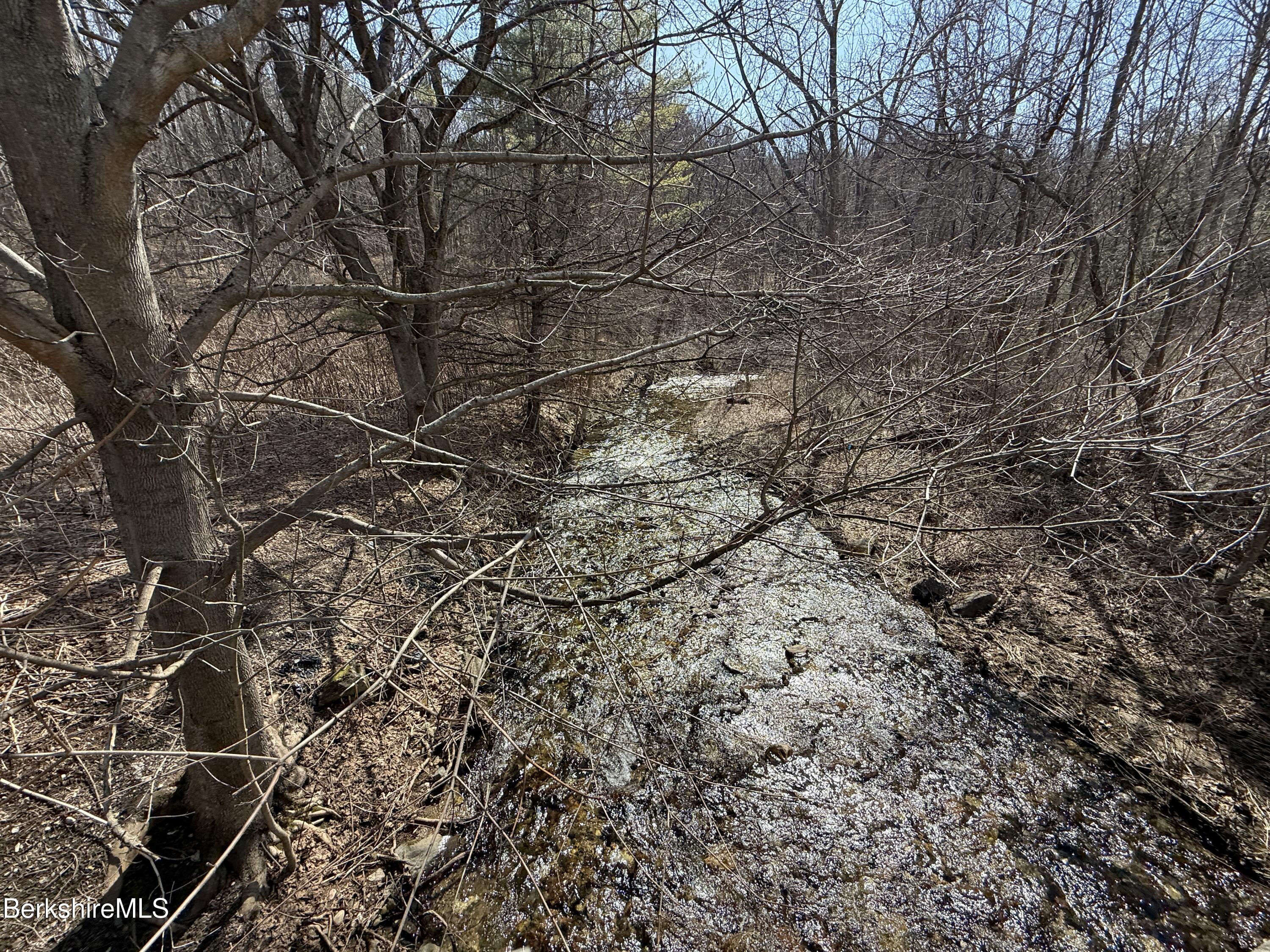 800 Cape Street Lee, MA 01238 - Photo 7 of 11 a view of a yard with large tree