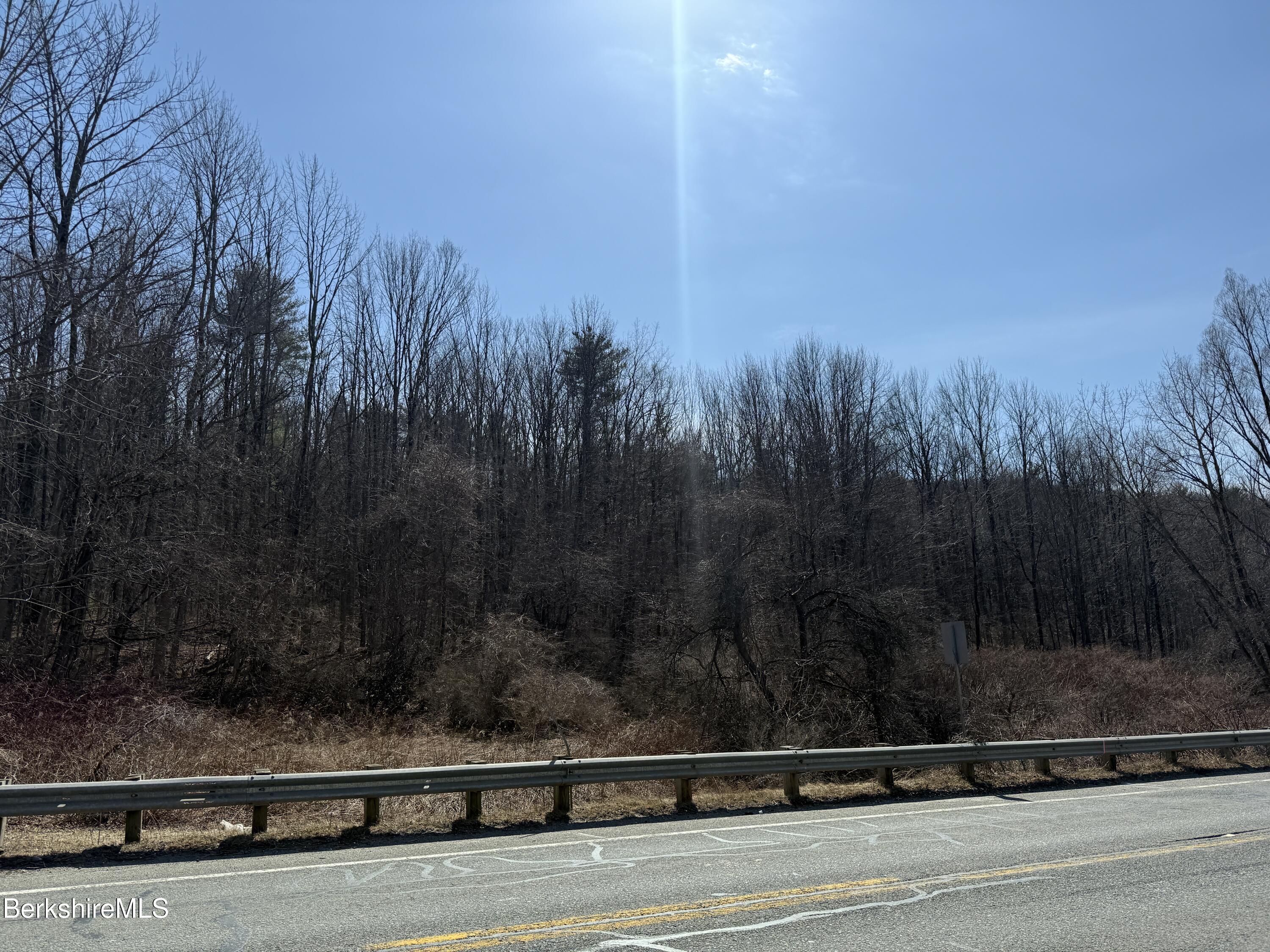 800 Cape Street Lee, MA 01238 - Photo 8 of 11 a view of a yard