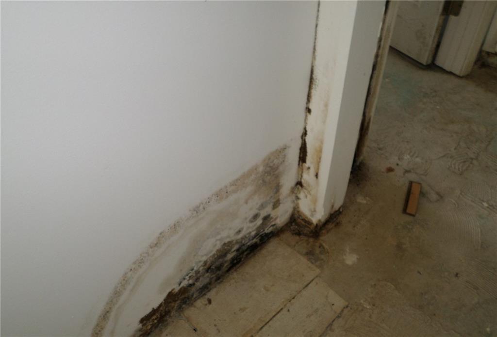 37399 Lopez Street Slidell, LA 70458 - Photo 27 of 53