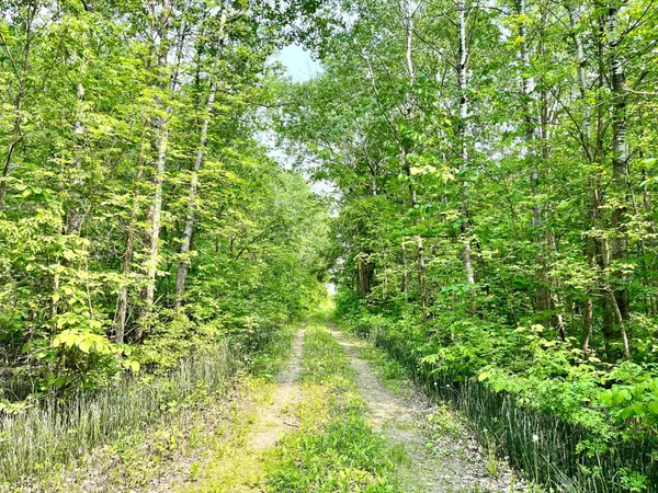$110,000 | 37551 County Road 126, Rochert, MN 56578