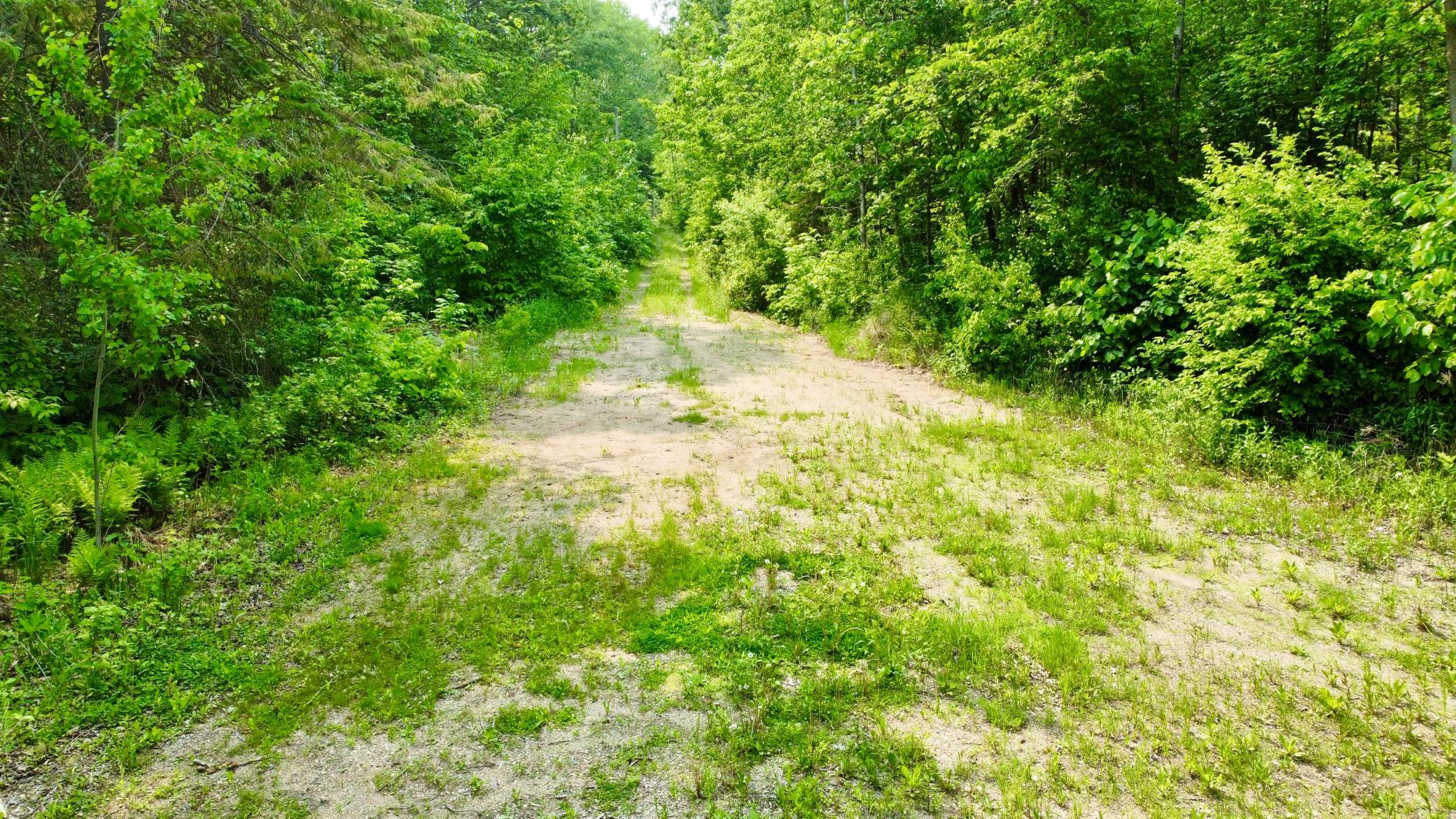 37551 County Road 126 Rochert, MN 56578 - Photo 10 of 10