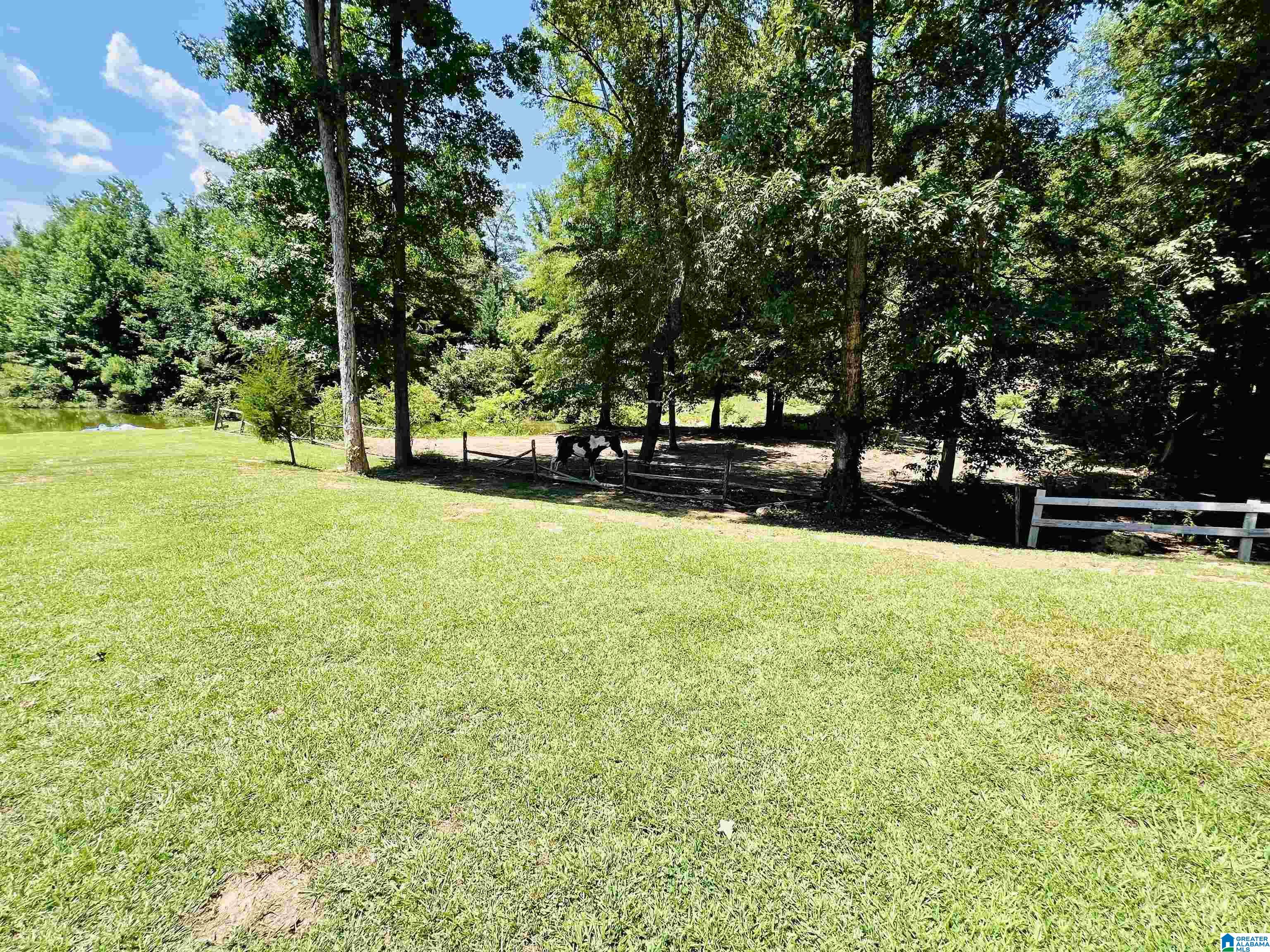 165 Dove Cove Road Talladega, AL 35160 - Photo 9 of 29