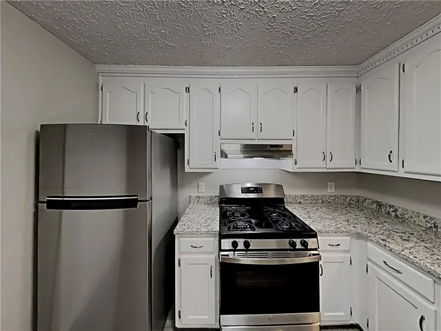 a kitchen with refrigerator a stove a sink and cabinets