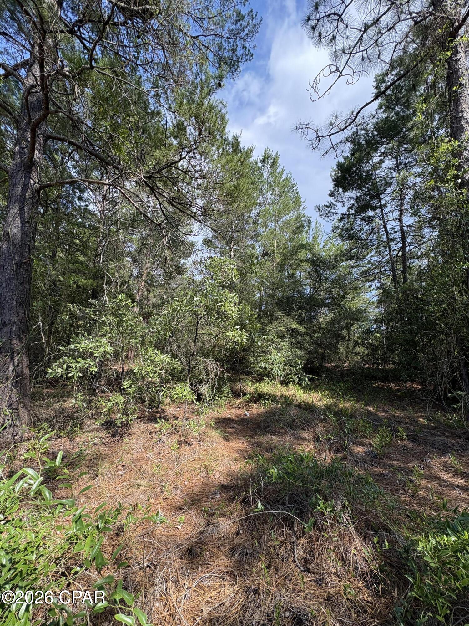 Lot 3 Dumajack Road Chipley, FL 32428 - Photo 4 of 30