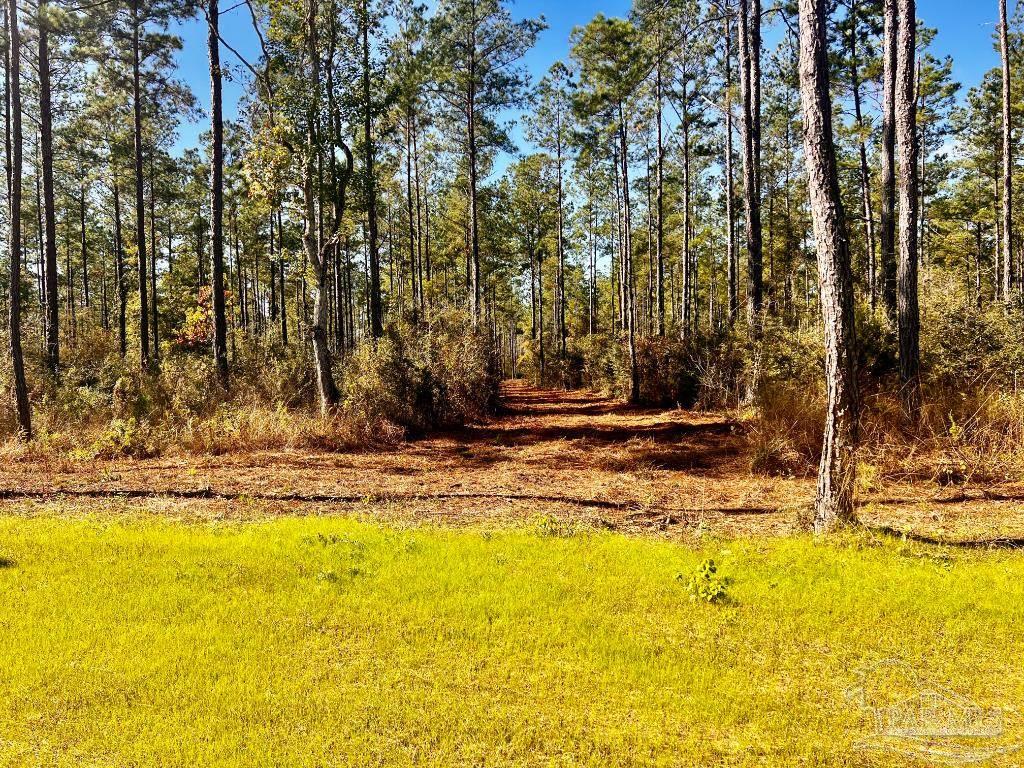 Lot 1 Denali Road Jay, FL 32565 - Photo 11 of 30