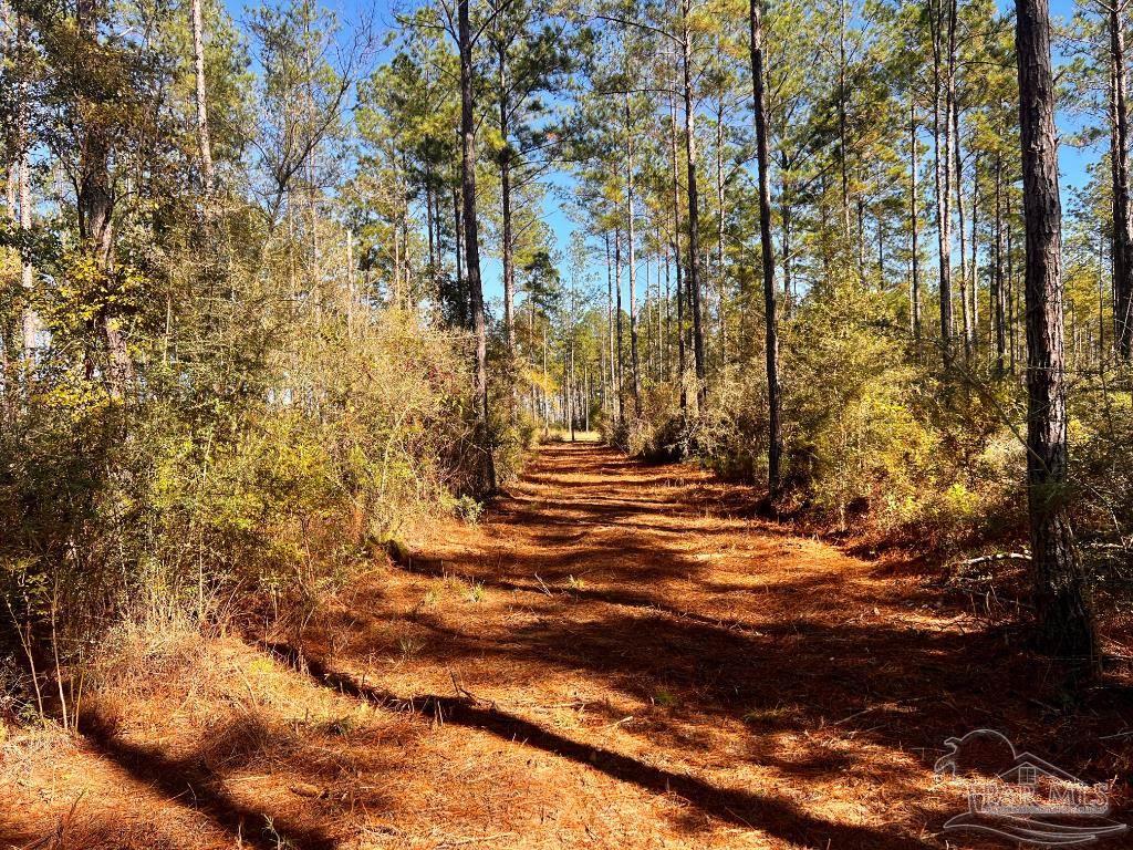 Lot 1 Denali Road Jay, FL 32565 - Photo 14 of 30