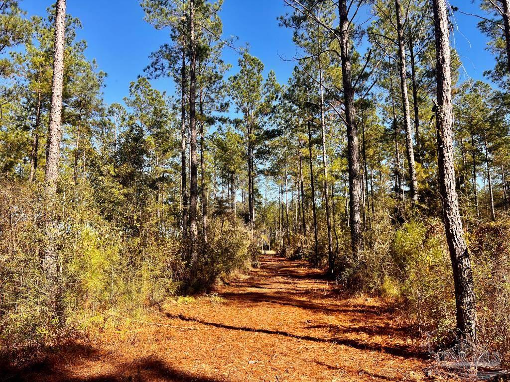 Lot 1 Denali Road Jay, FL 32565 - Photo 15 of 30