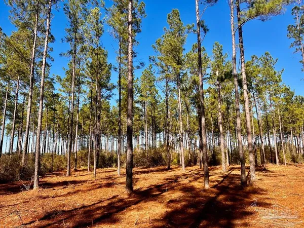 $269,000 | Lot 1 Denali Road, Jay, FL 32565