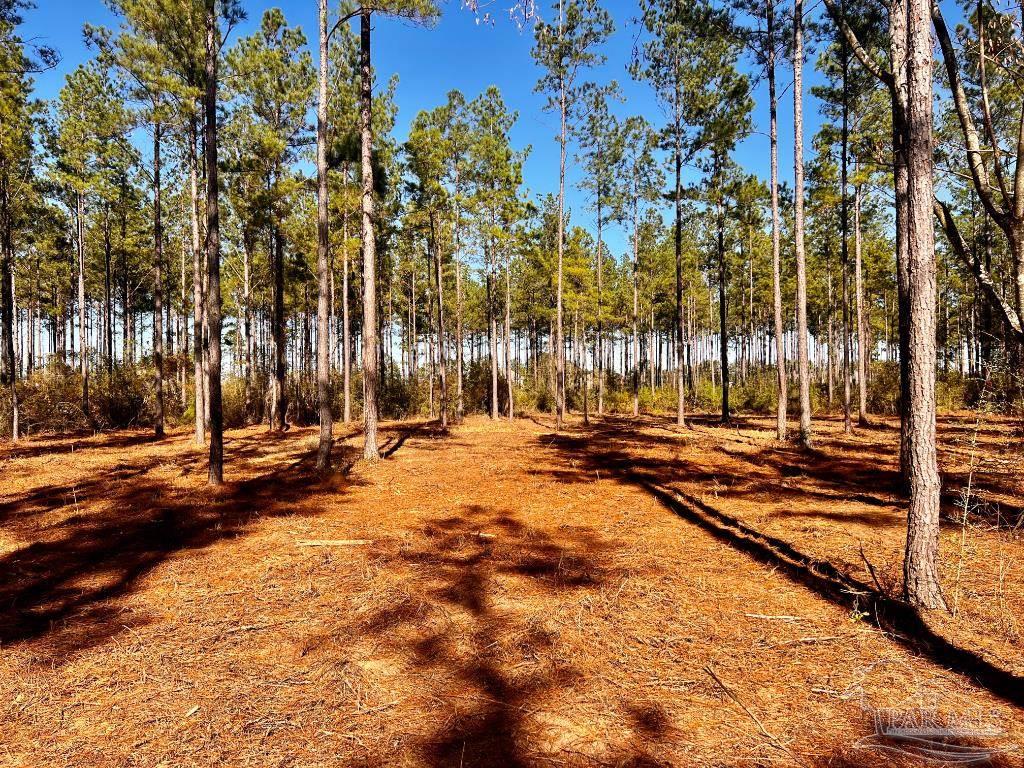 Lot 1 Denali Road Jay, FL 32565 - Photo 18 of 30