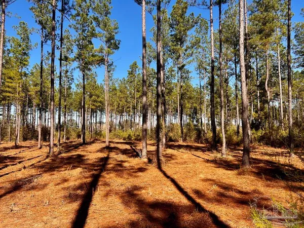 $269,000 | Lot 1 Denali Road, Jay, FL 32565