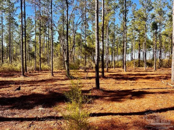 $269,000 | Lot 1 Denali Road, Jay, FL 32565