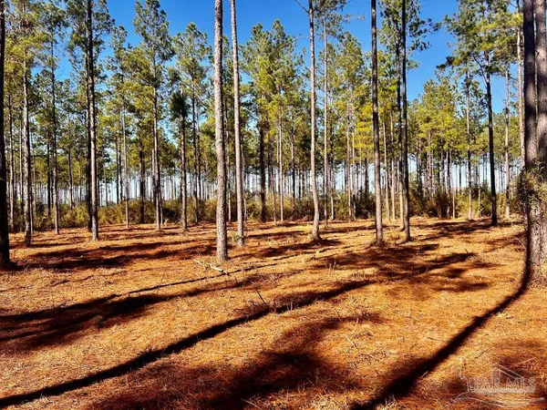 $269,000 | Lot 1 Denali Road, Jay, FL 32565