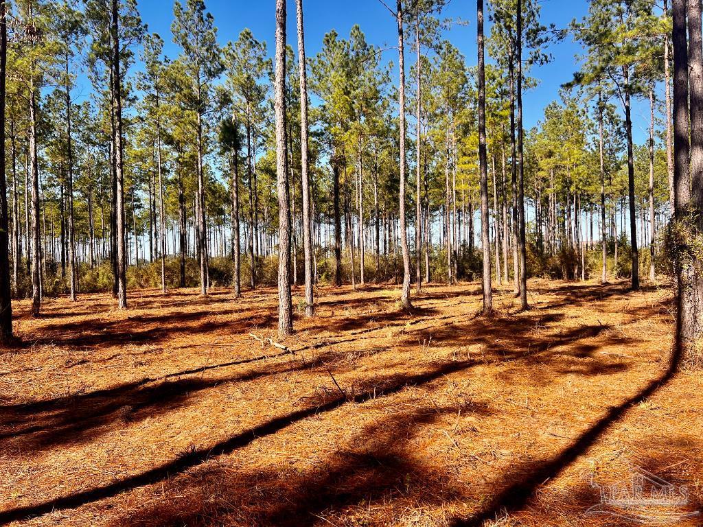 Lot 1 Denali Road Jay, FL 32565 - Photo 21 of 30