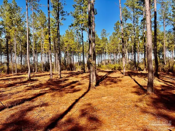 $269,000 | Lot 1 Denali Road, Jay, FL 32565