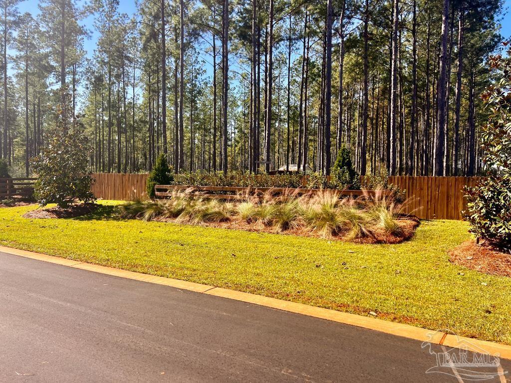 Lot 1 Denali Road Jay, FL 32565 - Photo 8 of 30