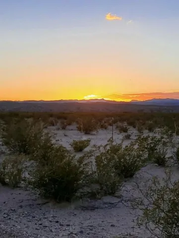 a view of a dry yard with trees