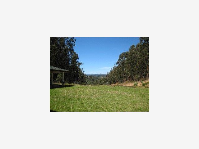 371 Quail Canyon Watsonville, CA 95076 - Photo 9 of 9 a black and white photo of a park