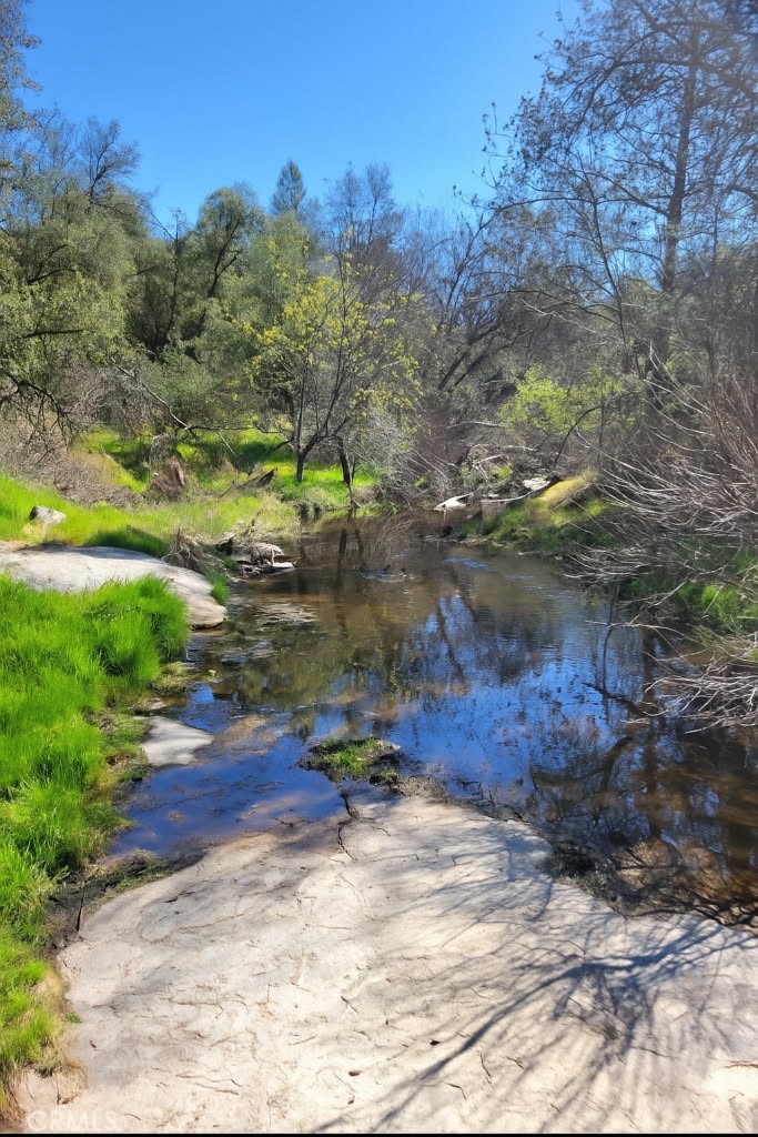 32413 Chickasaw Road Coarsegold, CA 93614 - Photo 63 of 67 Seasonal Creek