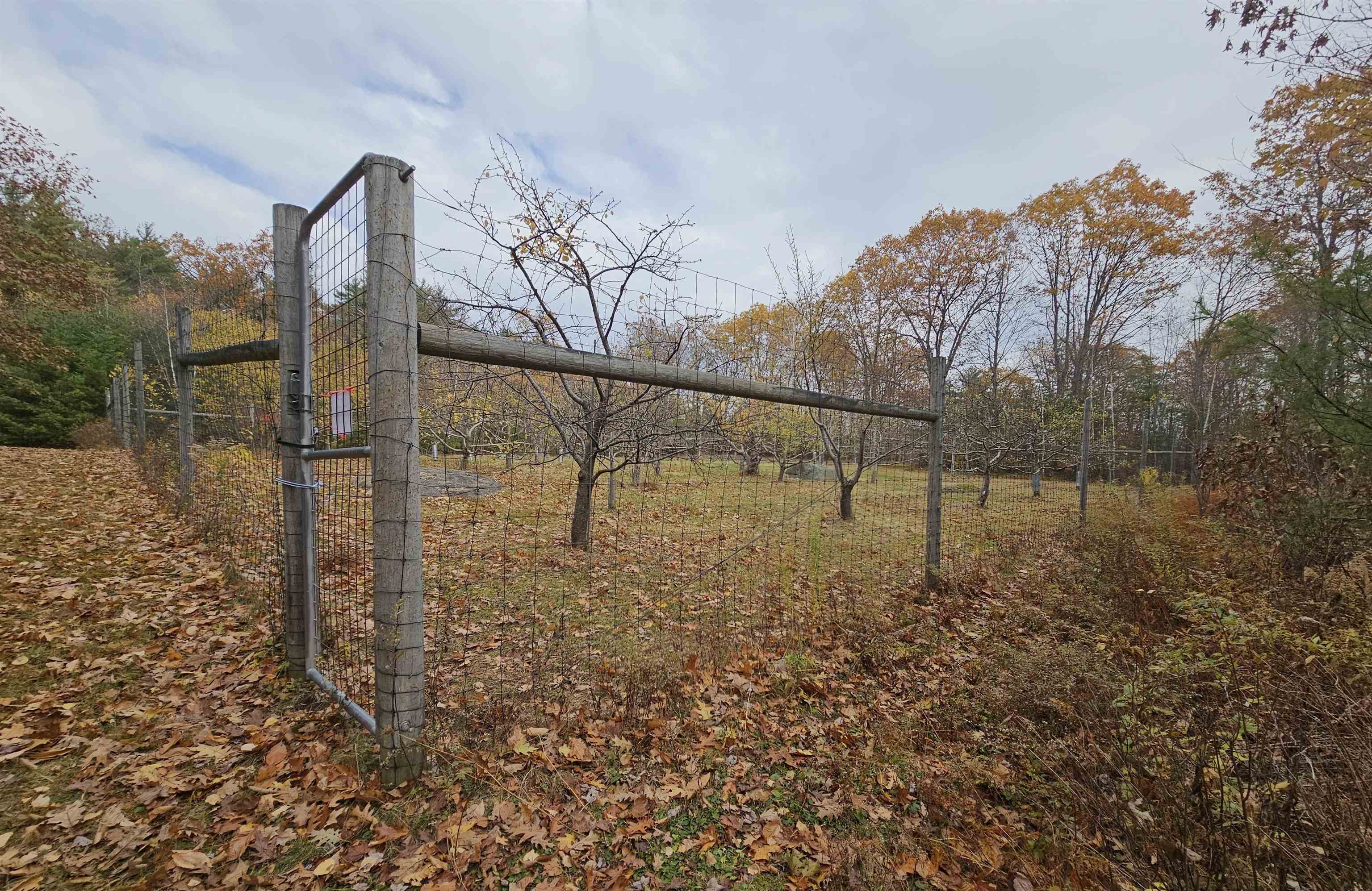 0 Meetinghouse Hill Road Antrim, NH 03440 - Photo 6 of 7