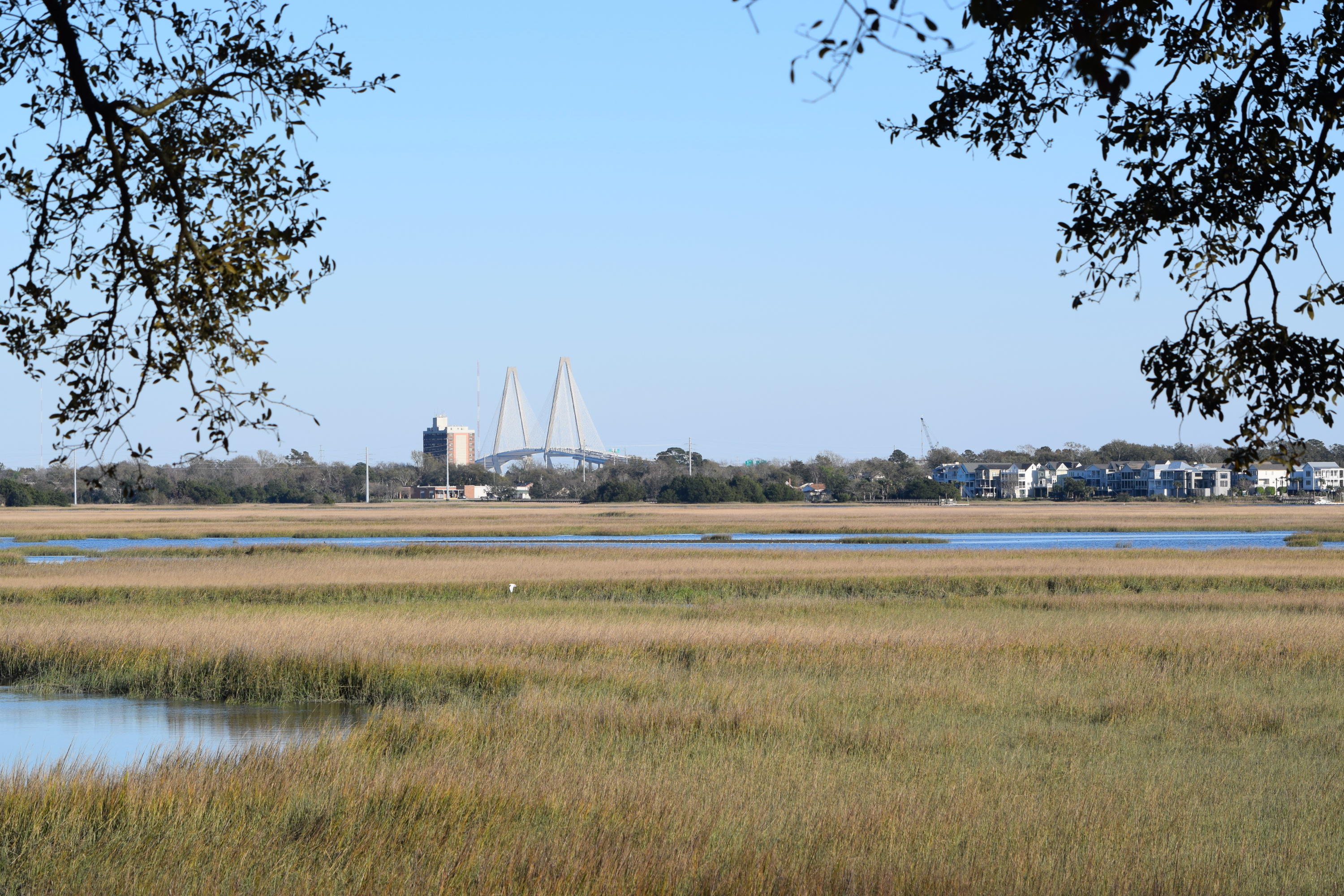 24 Boardman Road Charleston, SC 29407 - Photo 3 of 45 DSC_0105