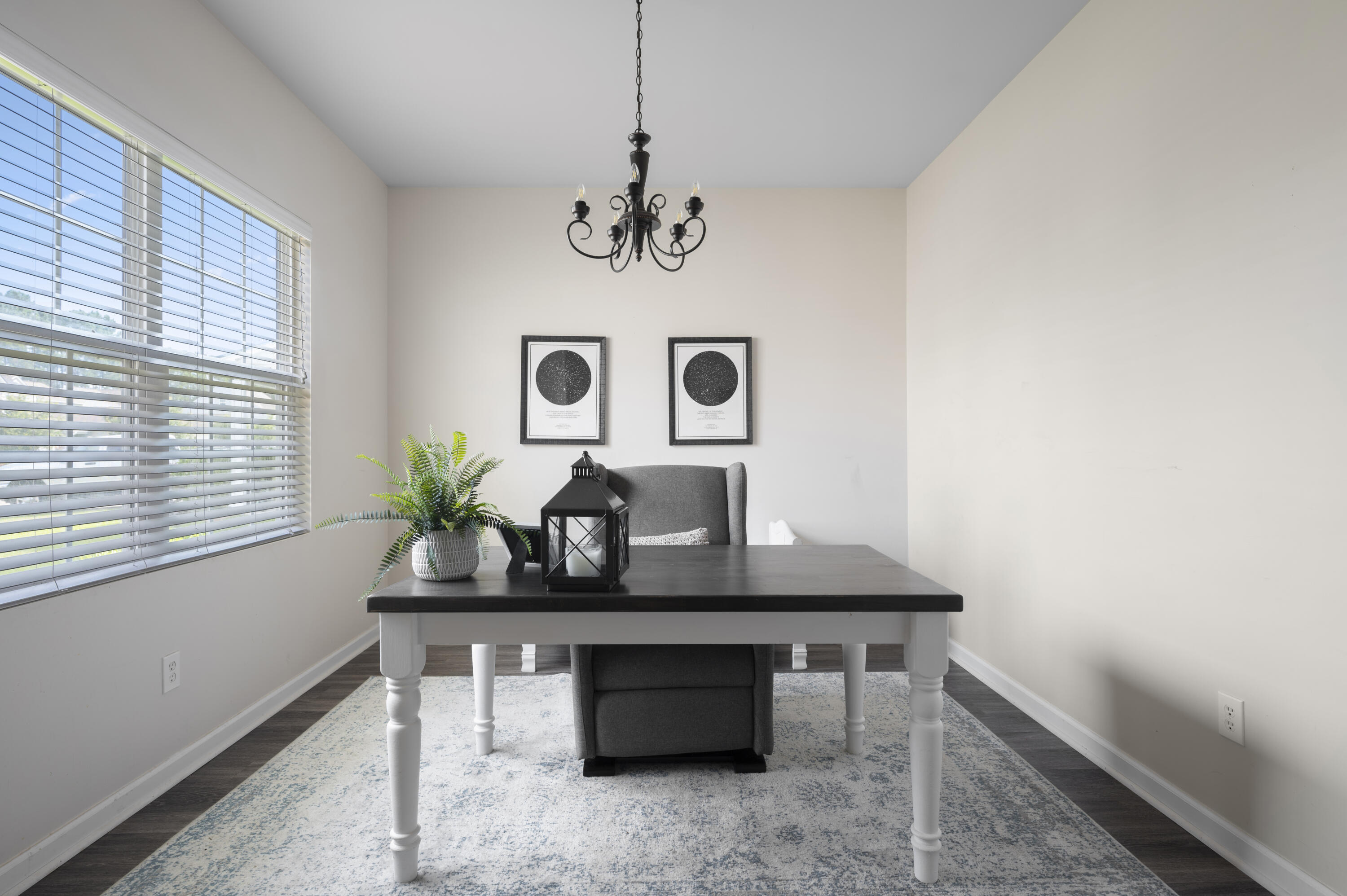 241 Decatur Drive Summerville, SC 29486 - Photo 8 of 25 DSC_3058