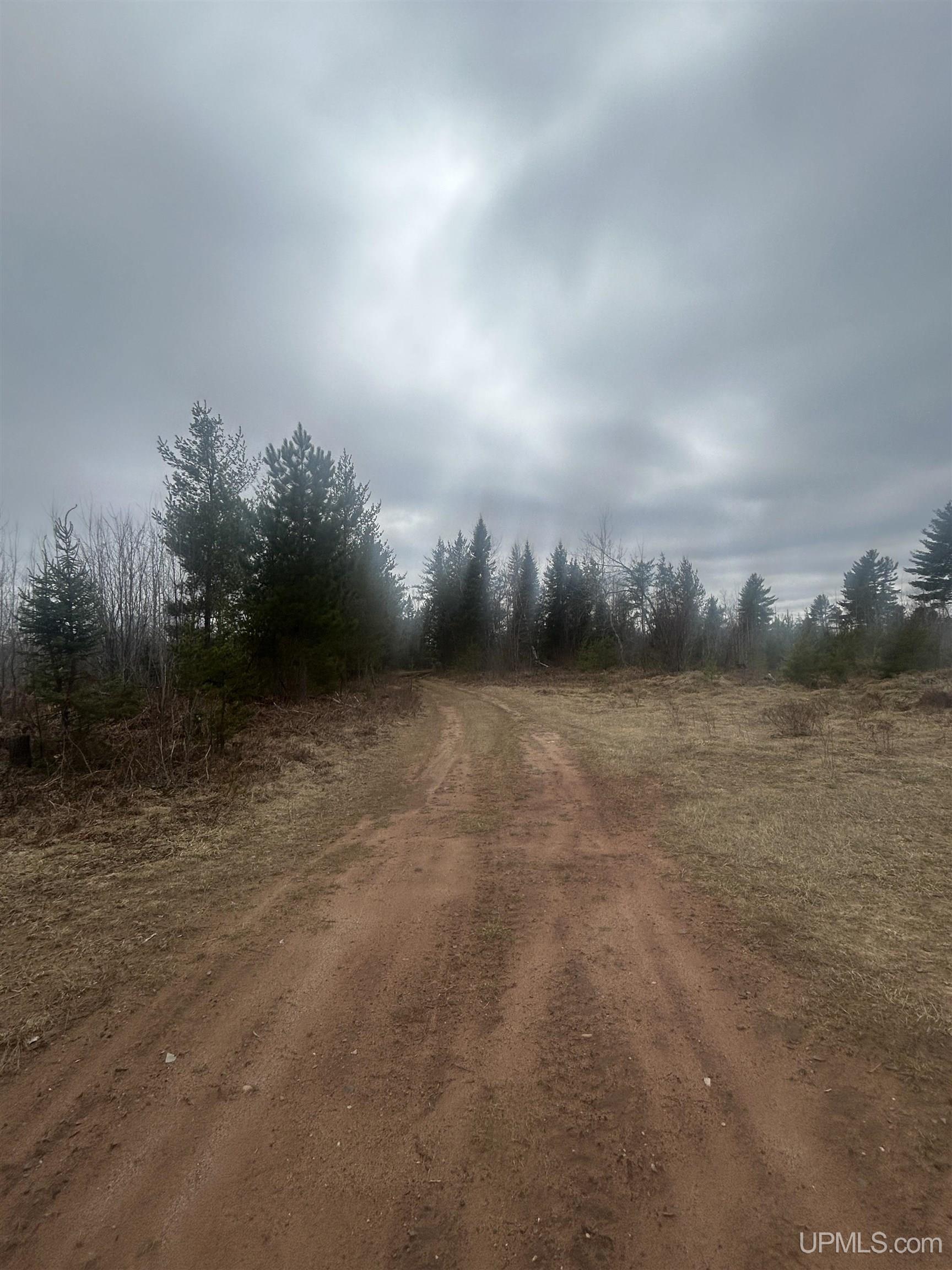 Parcel 3-off Parcel 3-off Johnson Lake Road Gwinn, MI 49841 - Photo 7 of 9