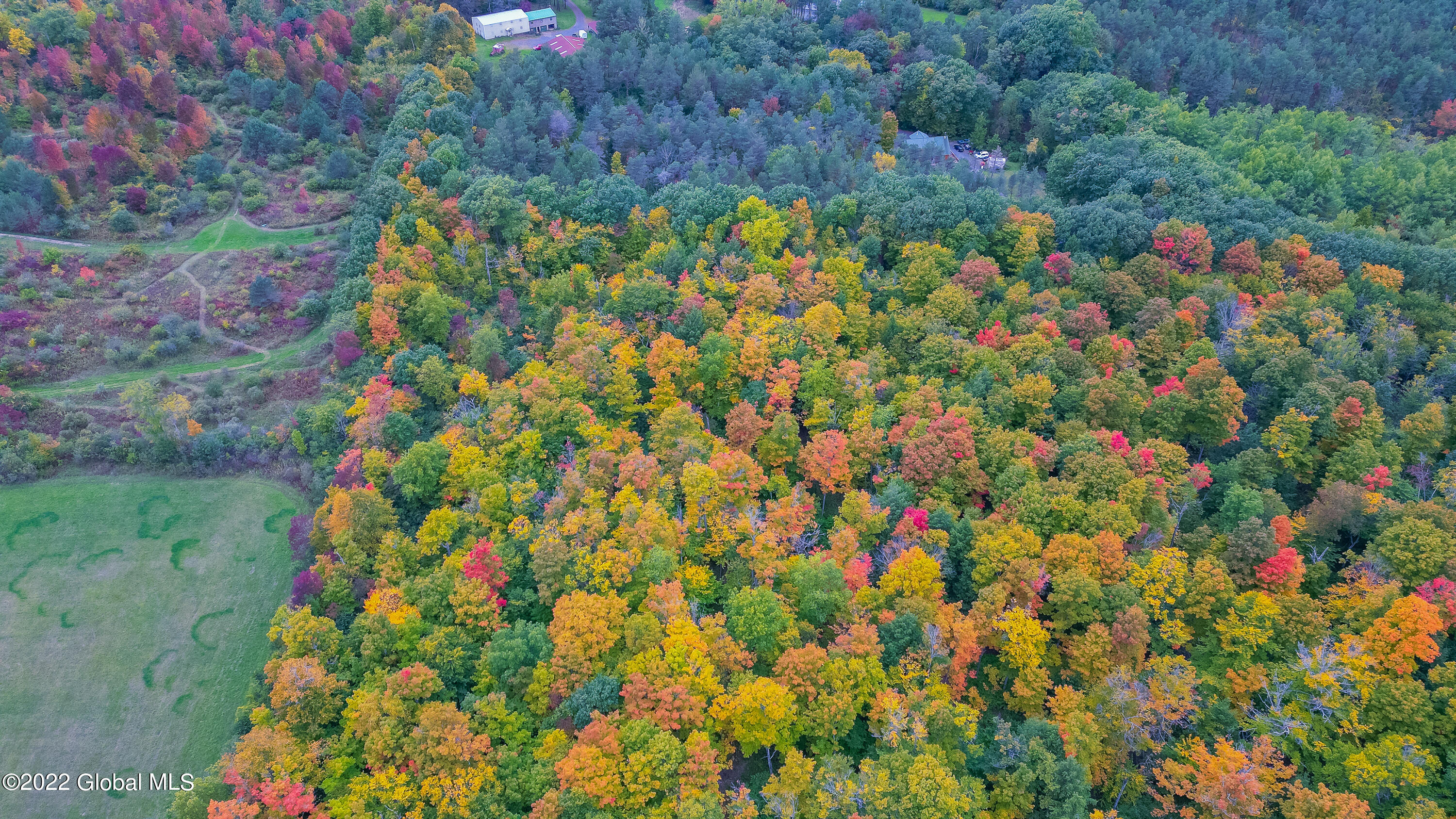 1676 Berne-Altamont Road Altamont, NY 12009 - Photo 56 of 80 Aerial 9