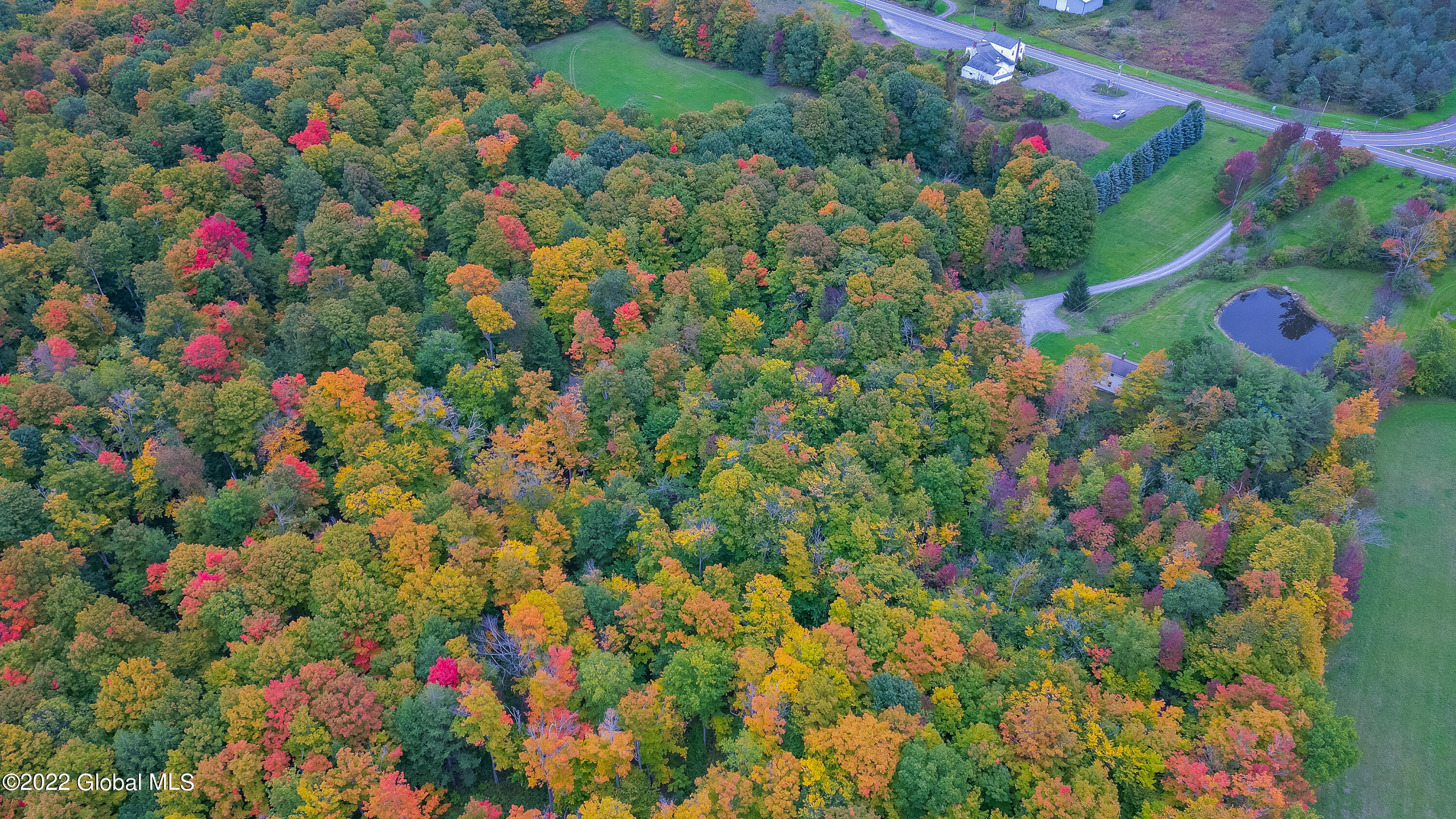 1676 Berne-Altamont Road Altamont, NY 12009 - Photo 57 of 80 Aerial 10