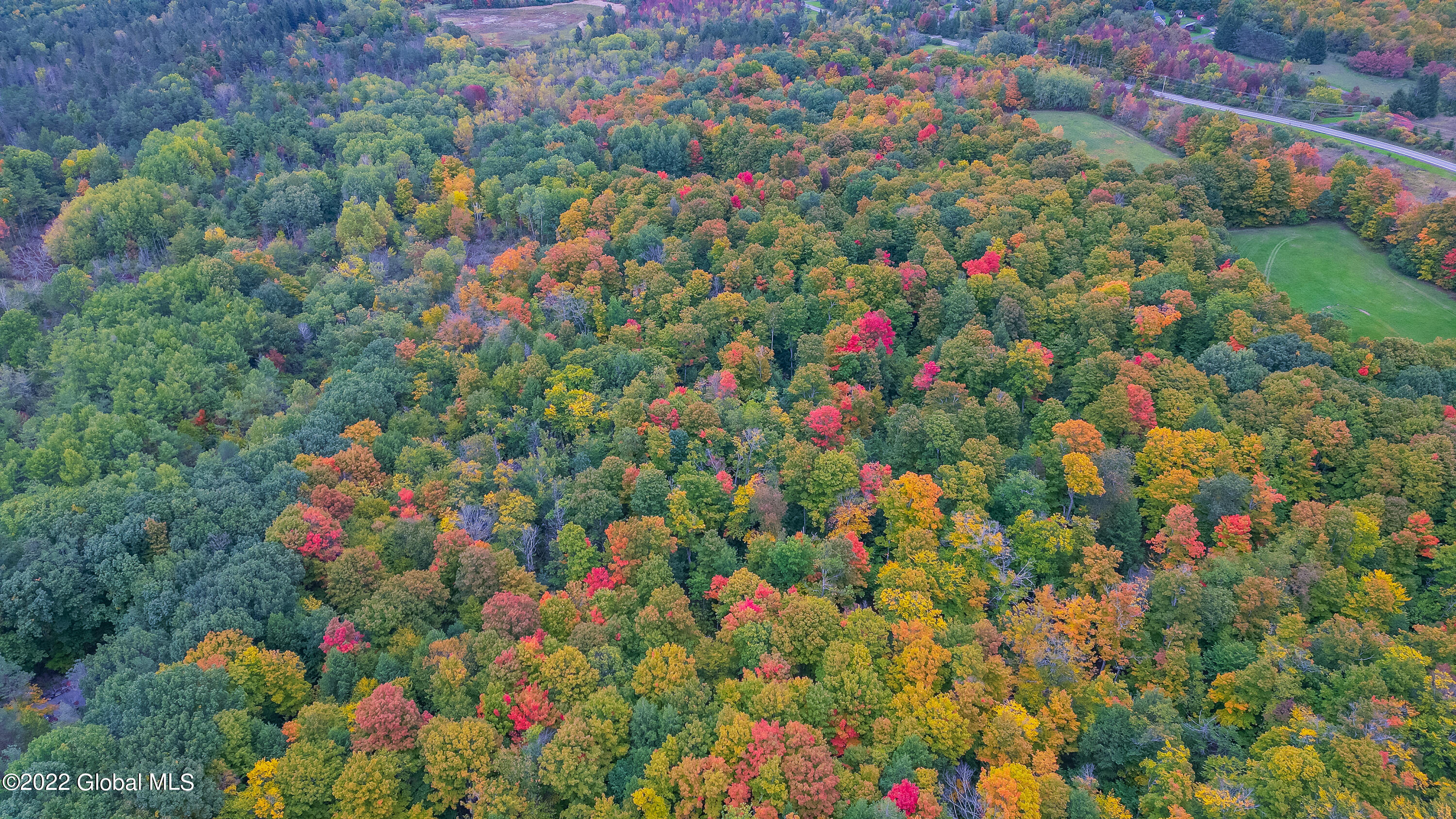 1676 Berne-Altamont Road Altamont, NY 12009 - Photo 58 of 80 Aerial 11