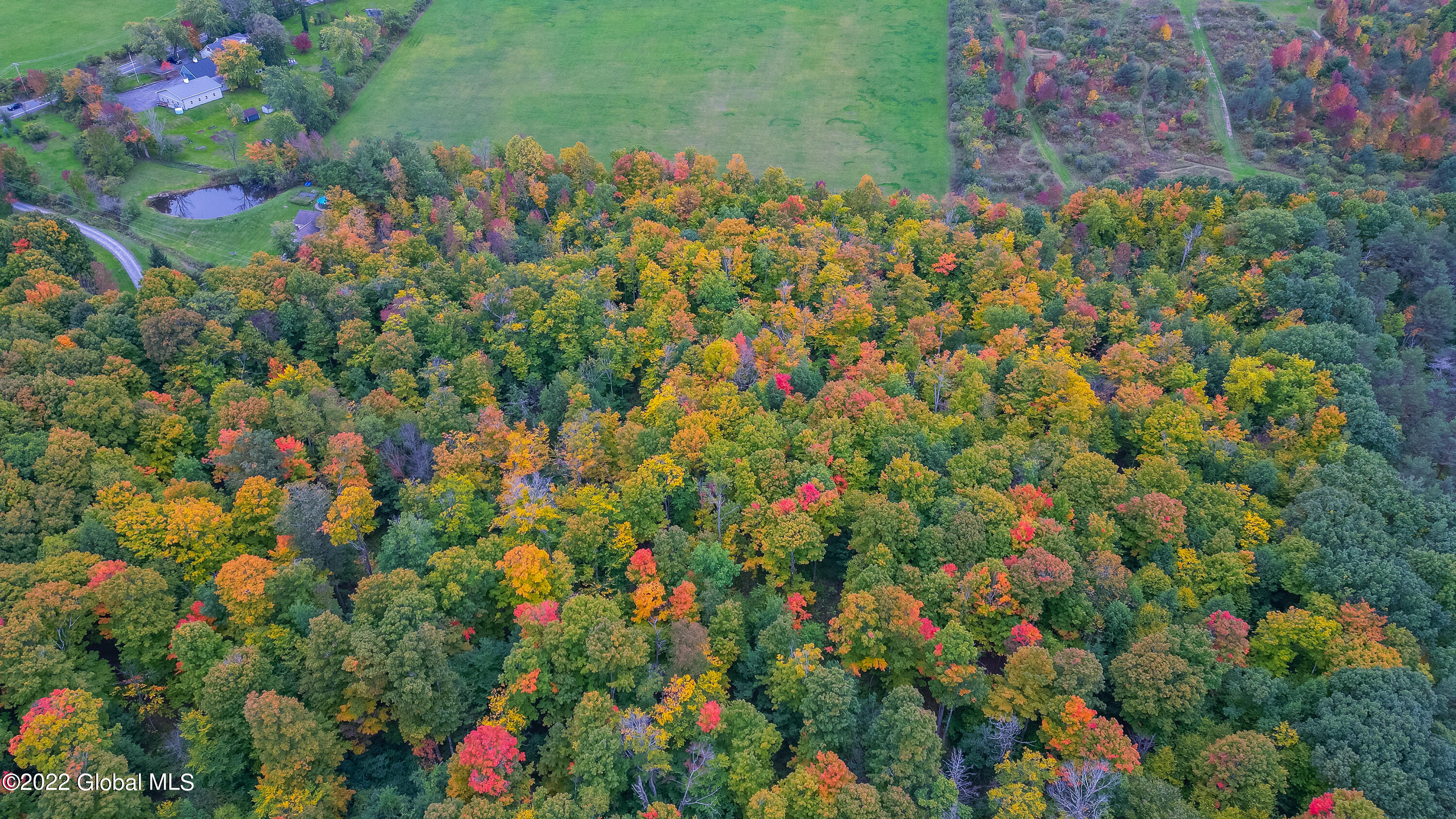 1676 Berne-Altamont Road Altamont, NY 12009 - Photo 59 of 80 Aerial 12