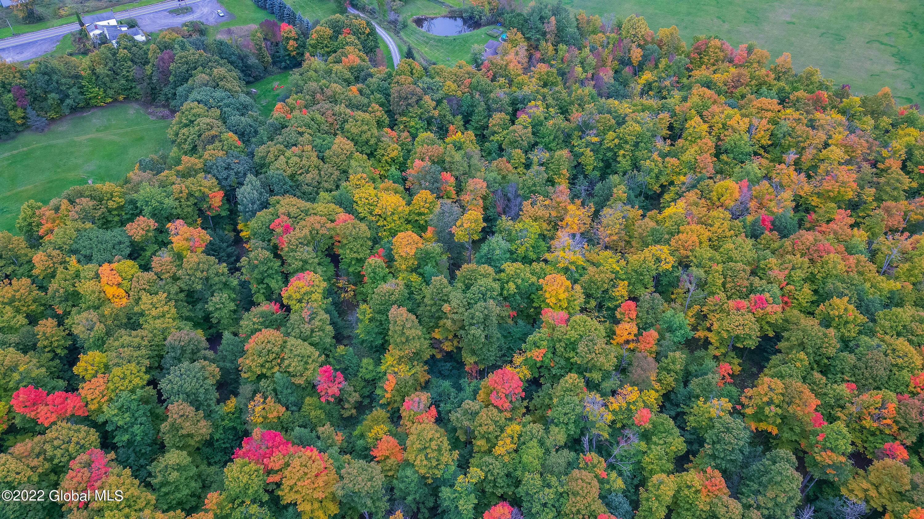 1676 Berne-Altamont Road Altamont, NY 12009 - Photo 60 of 80 Aerial 13