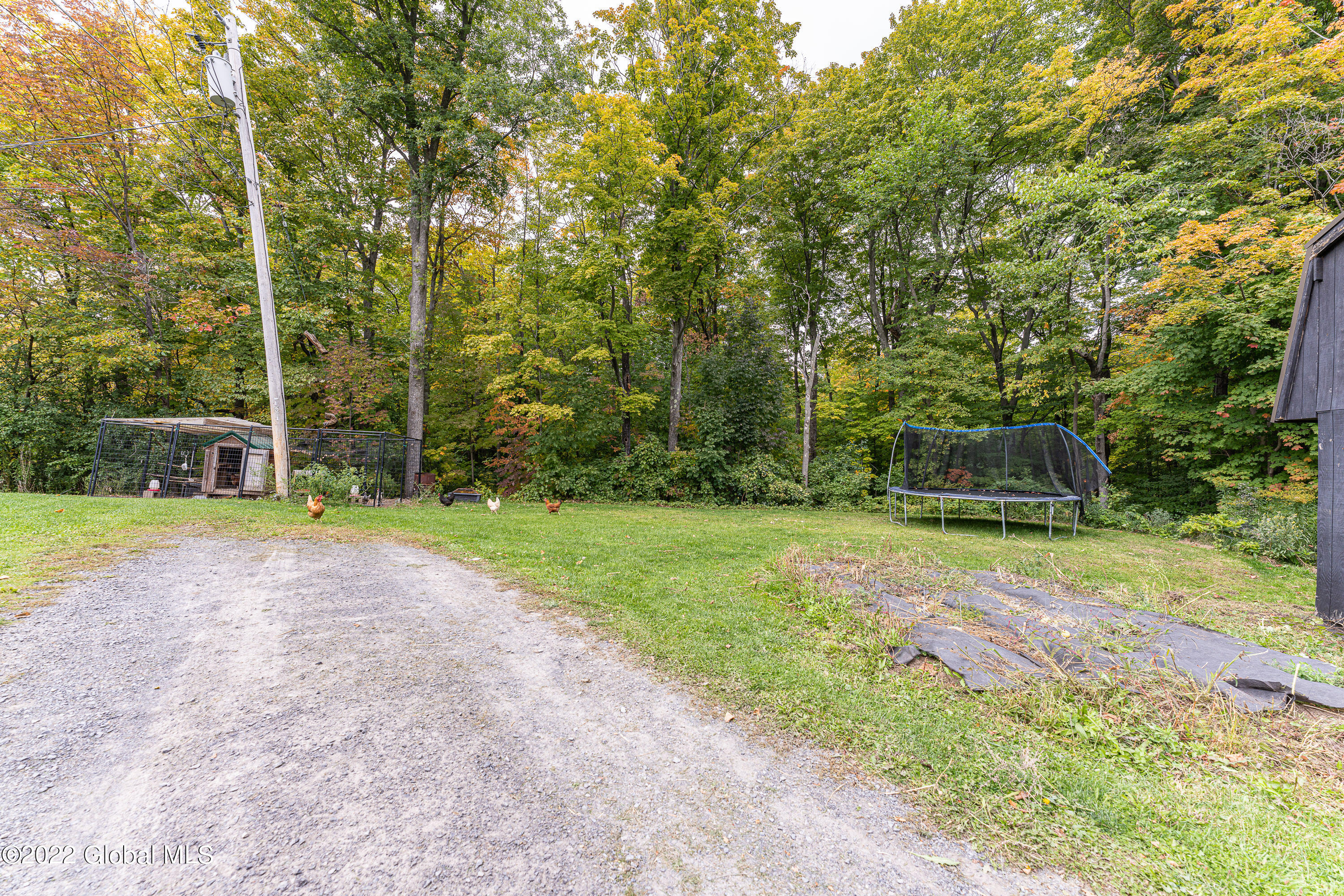 1676 Berne-Altamont Road Altamont, NY 12009 - Photo 63 of 80 Yard 4