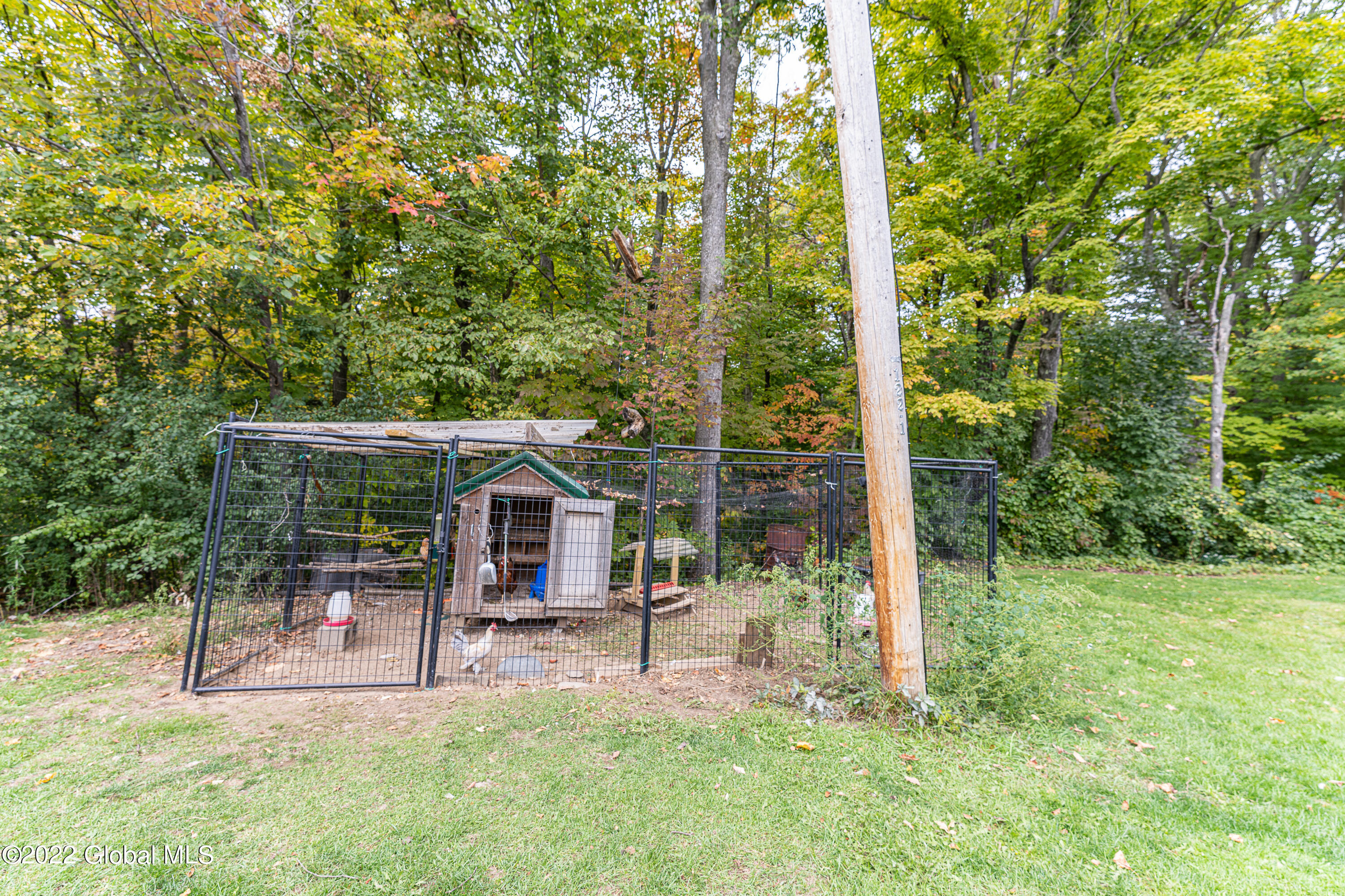 1676 Berne-Altamont Road Altamont, NY 12009 - Photo 65 of 80 Yard 6
