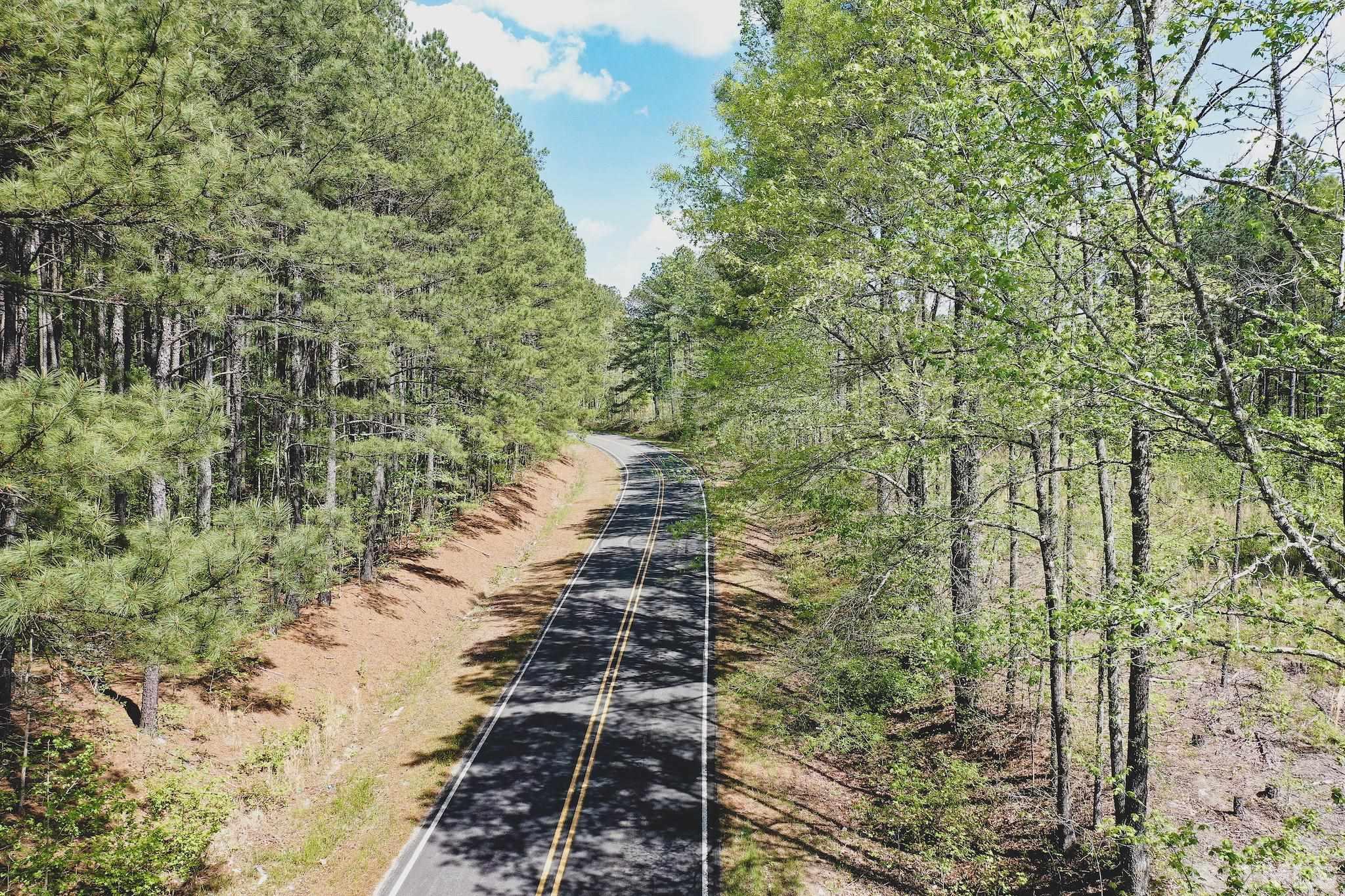 8.09-acres Walters Road Creedmoor, NC 27522 - Photo 1 of 12 a view of a yard with plants and large trees