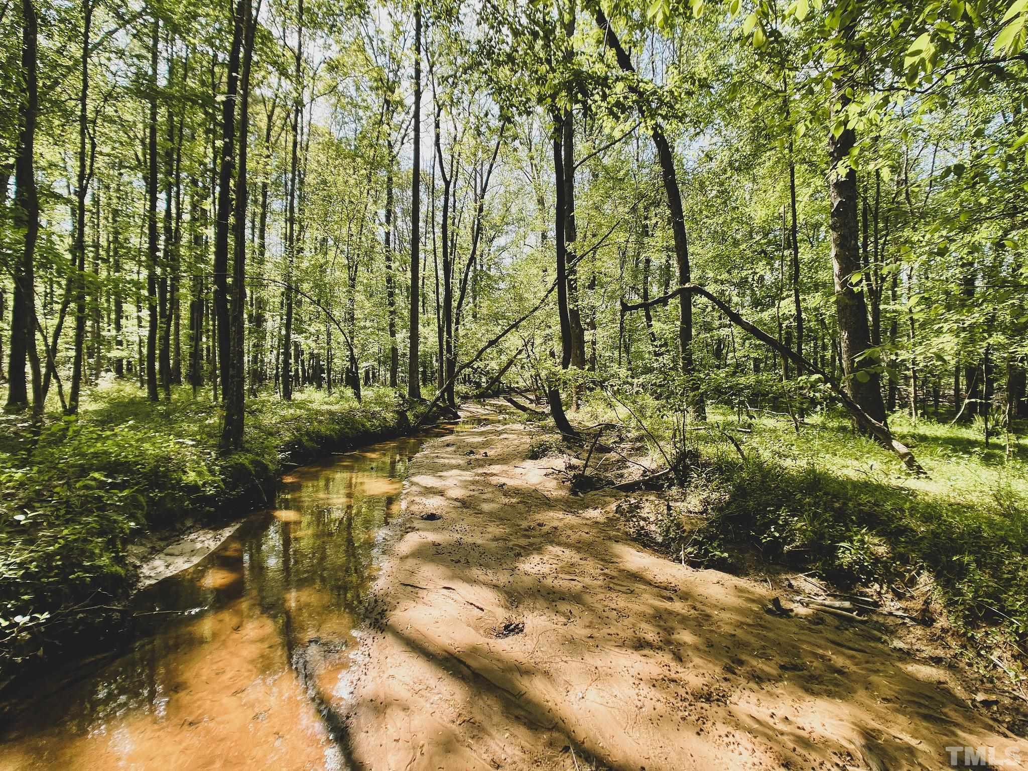 8.09-acres Walters Road Creedmoor, NC 27522 - Photo 6 of 12 a view of yard