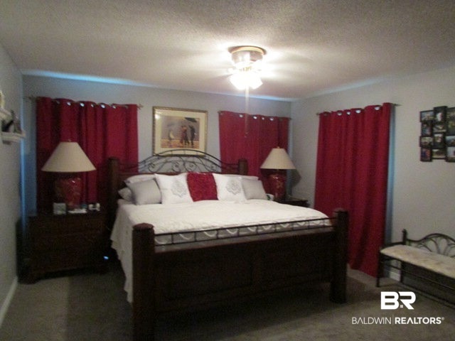 12696 Hilliard Jenkins Road Loxley, AL 36551 - Photo 16 of 49