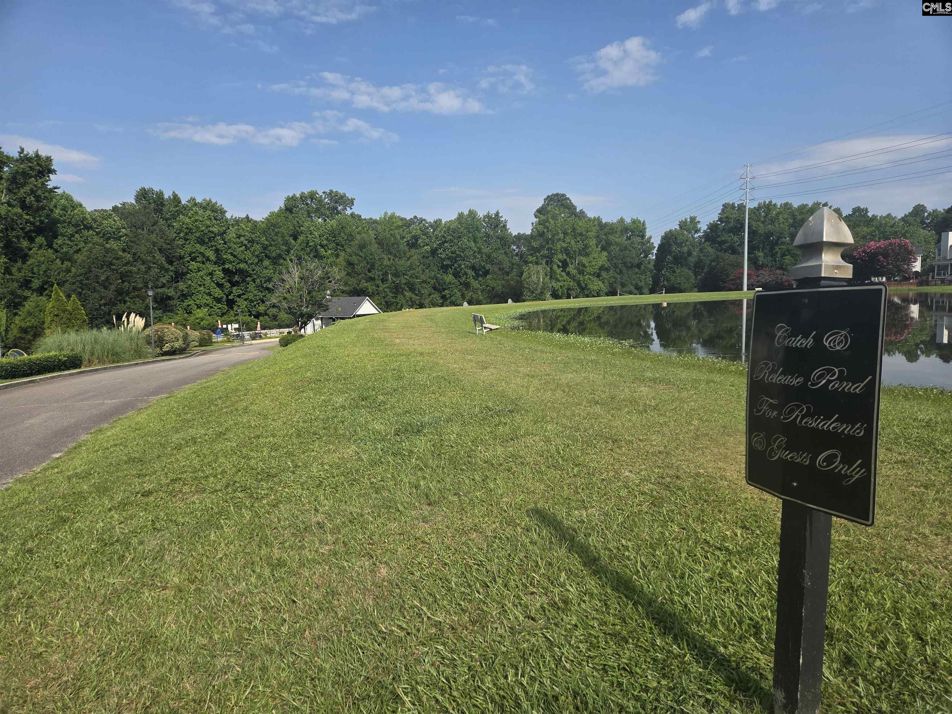216 Faskin Lane Lexington, SC 29072 - Photo 48 of 60