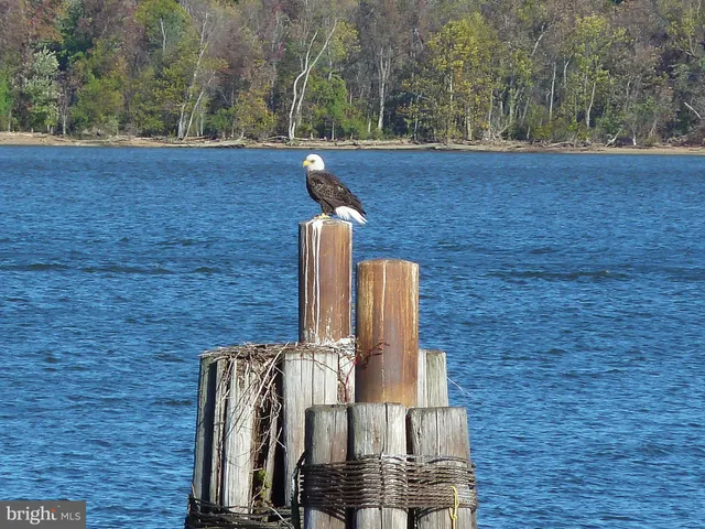 $12,850 | 700 Kahn Place, Alexandria, VA 22314