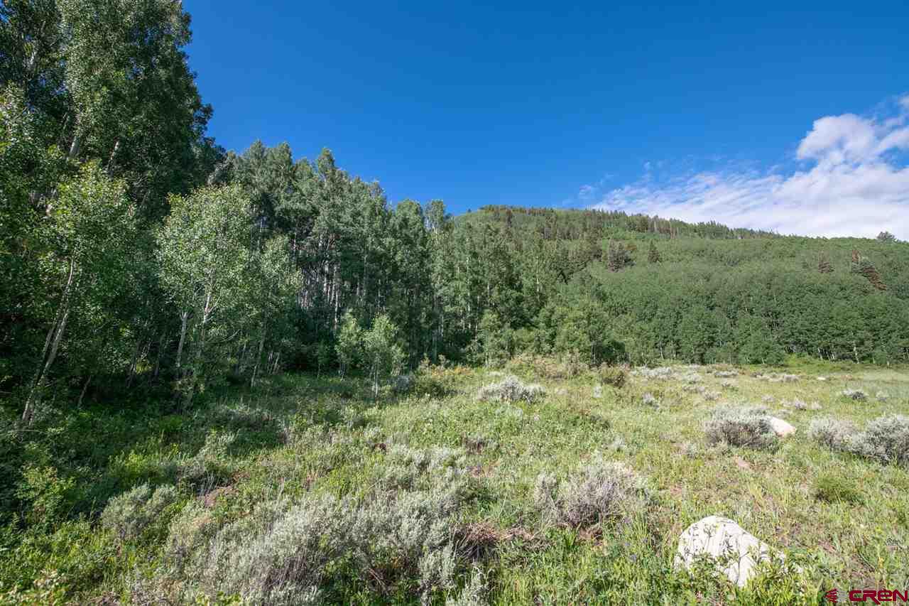 Tbd Tbd Hidden Mine Ranch Road Crested Butte, CO 81224 - Photo 19 of 29