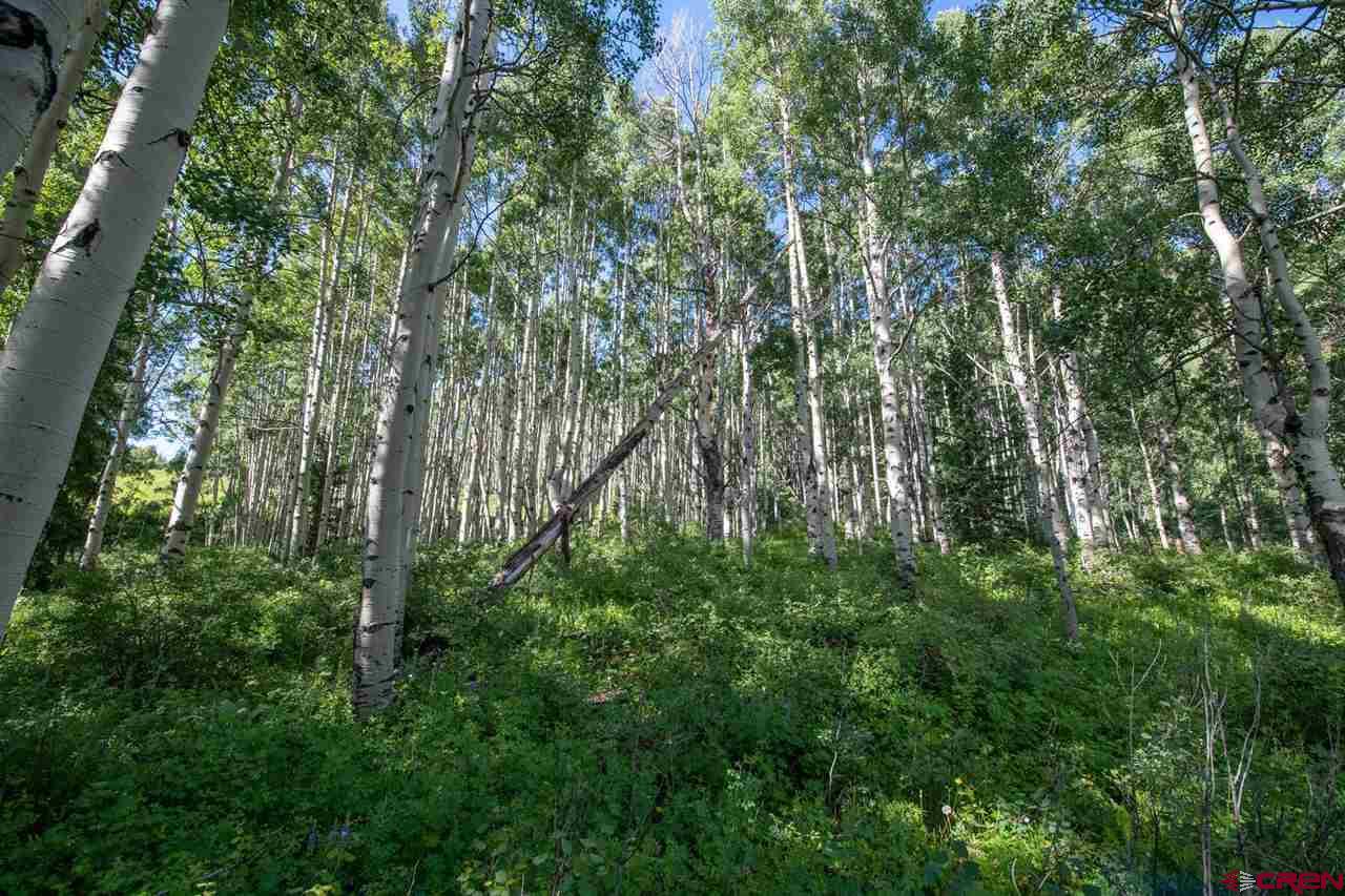 Tbd Tbd Hidden Mine Ranch Road Crested Butte, CO 81224 - Photo 20 of 29