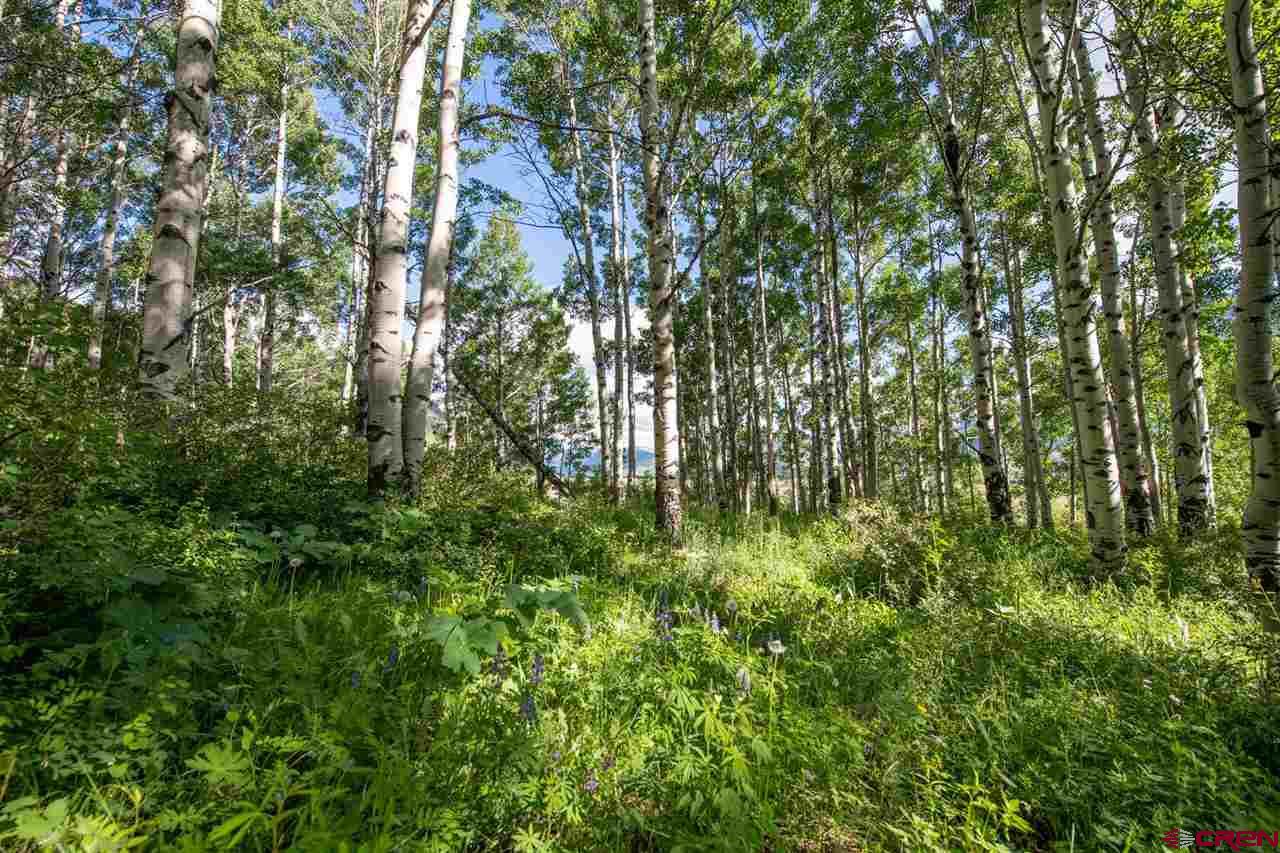 Tbd Tbd Hidden Mine Ranch Road Crested Butte, CO 81224 - Photo 22 of 29