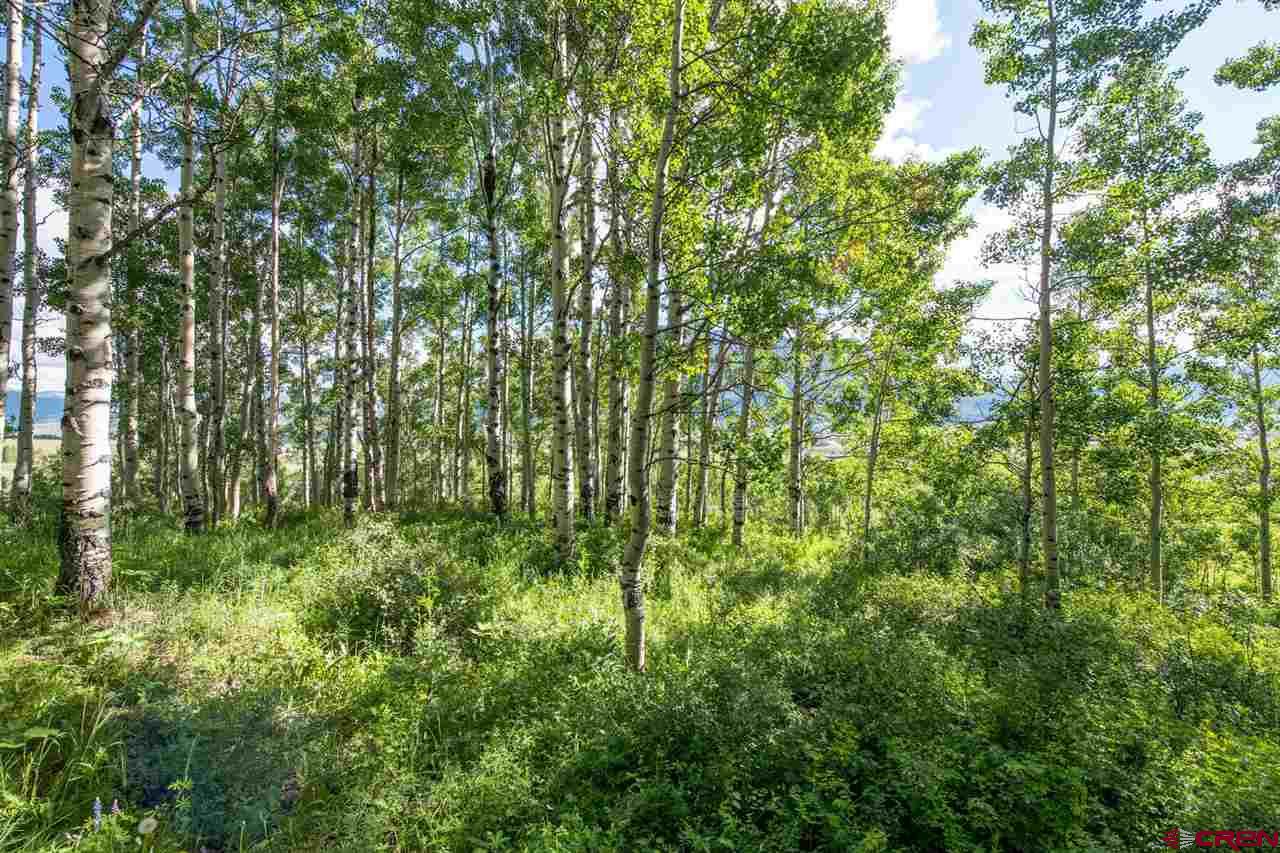 Tbd Tbd Hidden Mine Ranch Road Crested Butte, CO 81224 - Photo 23 of 29