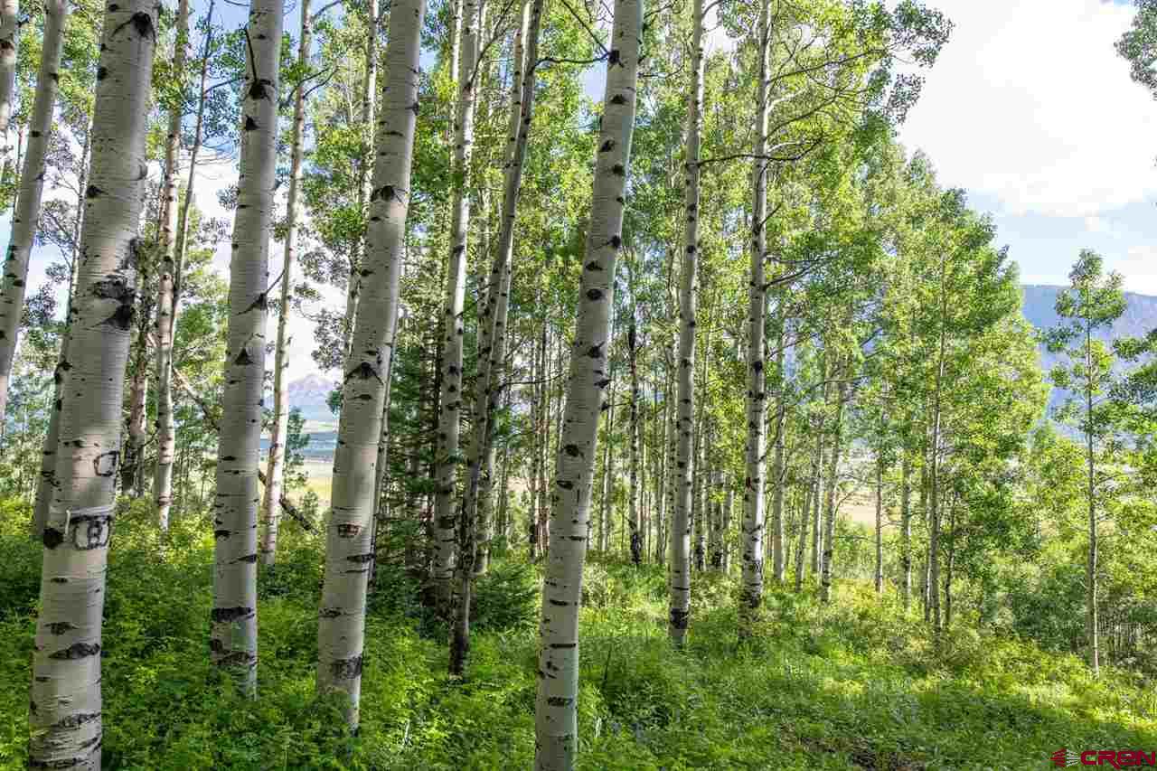 Tbd Tbd Hidden Mine Ranch Road Crested Butte, CO 81224 - Photo 25 of 29