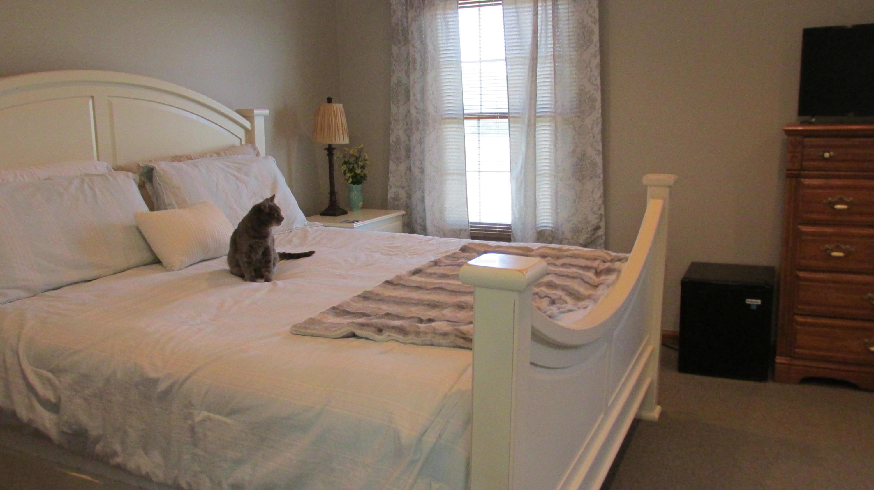 3286 Gooding Road Marion, OH 43302 - Photo 36 of 53 Gallery Image 36