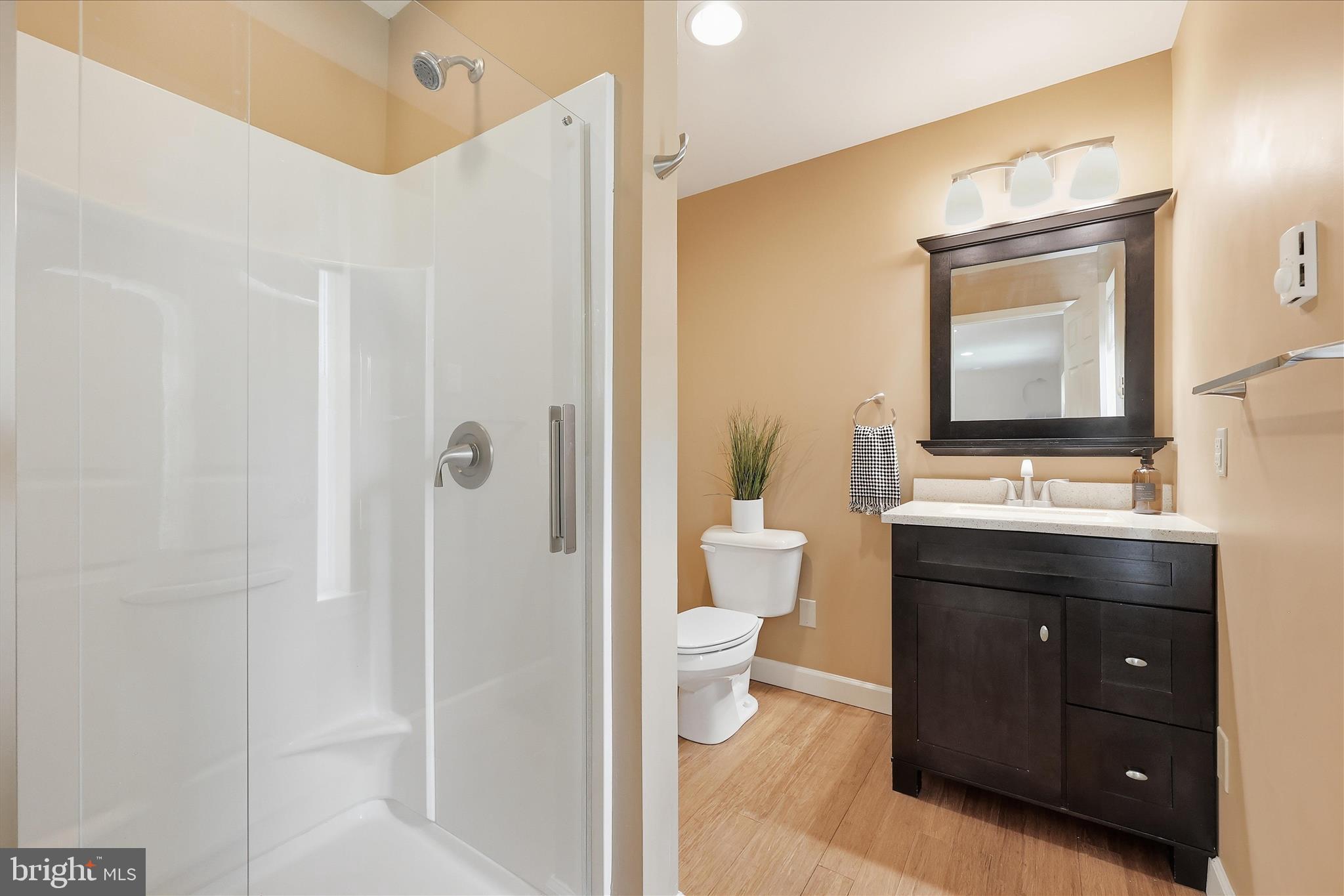 10919 Etzler Mill Road Woodsboro, MD 21798 - Photo 45 of 54 a bathroom with a toilet a sink and mirror