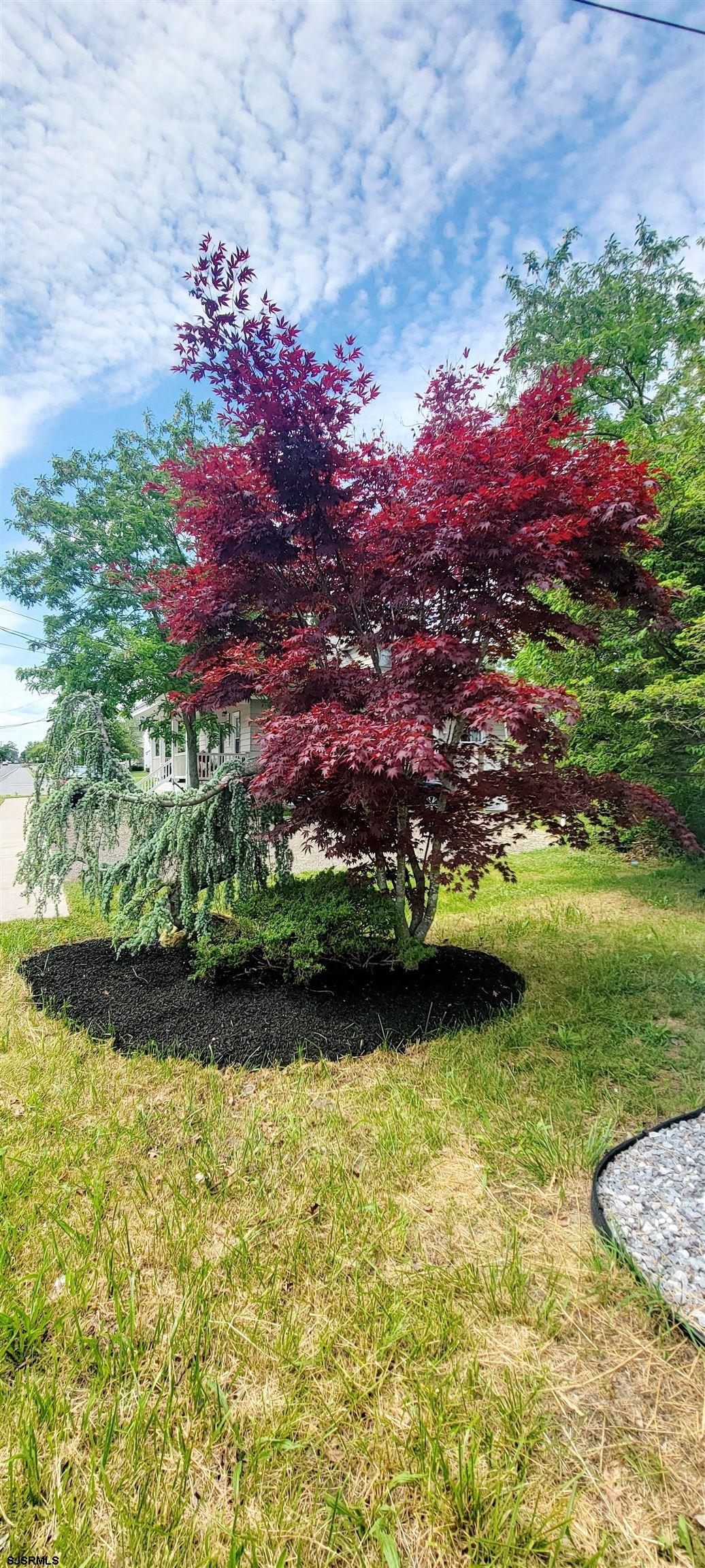6594 Mill Road Egg Harbor Township, NJ 08234 - Photo 70 of 72 a view of a backyard