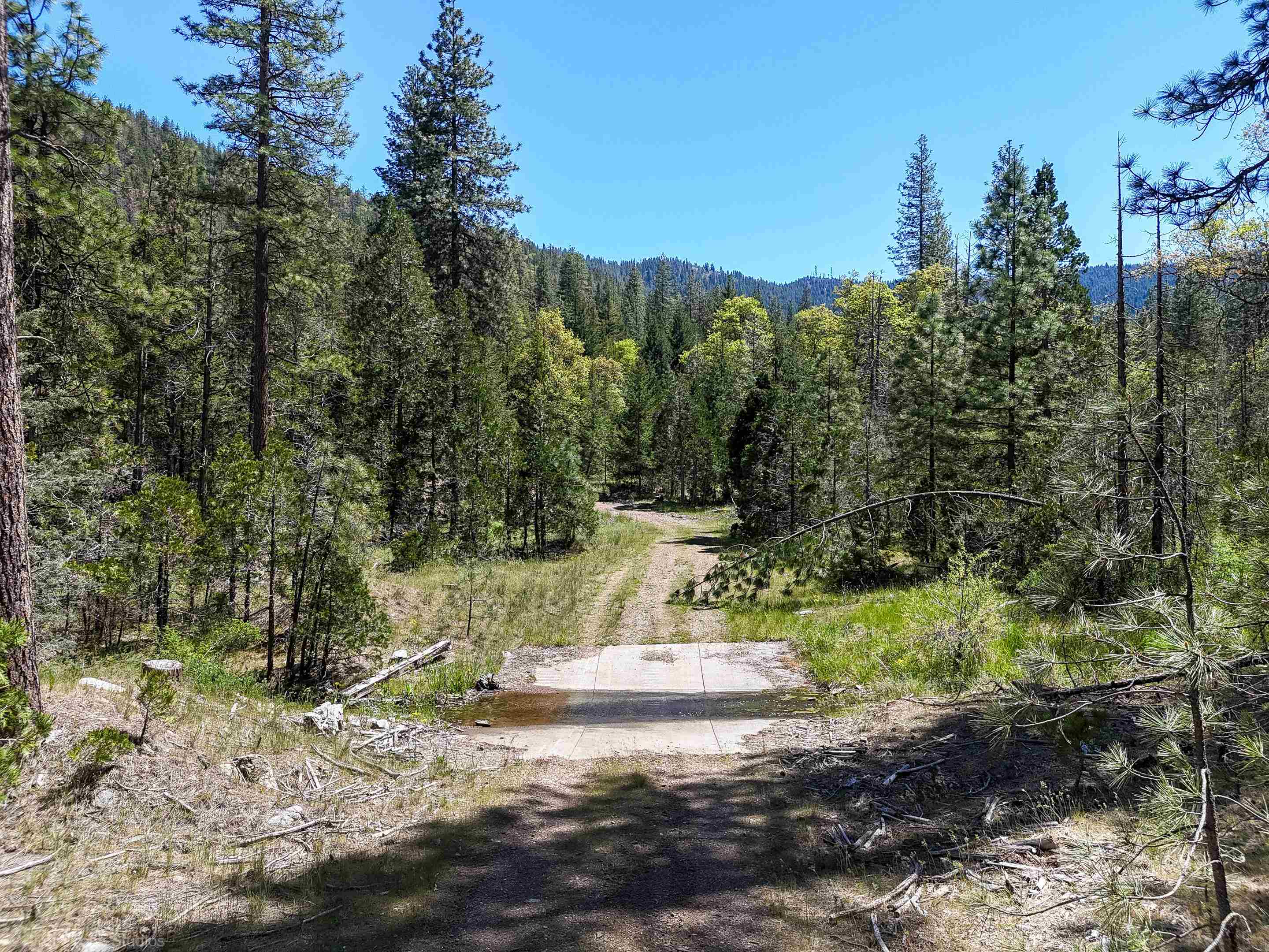 7226 Schulmeyer Gulch Road Yreka, CA 96097 - Photo 32 of 40 Gallery Image 32