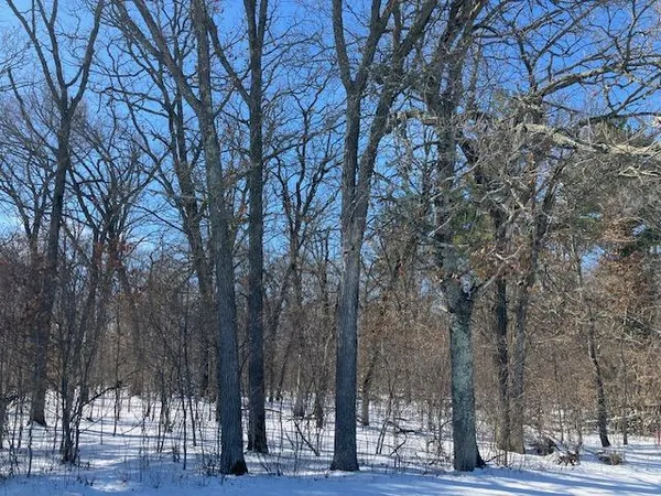 $169,900 | Lot 2 Sunrise Road, Harris, MN 55032