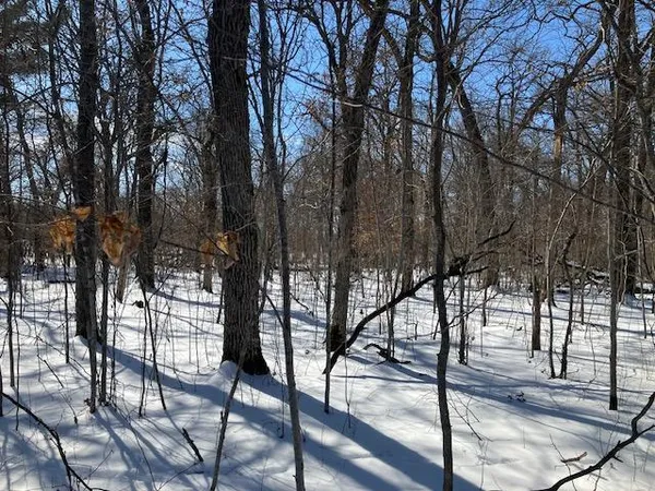 $169,900 | Lot 2 Sunrise Road, Harris, MN 55032